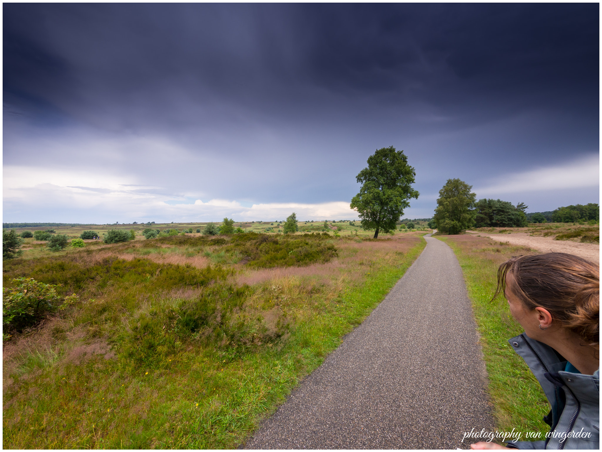 Olympus OM-D E-M10 II + Panasonic Lumix G Vario 7-14mm F4 ASPH sample photo. Veluwe nederland photography