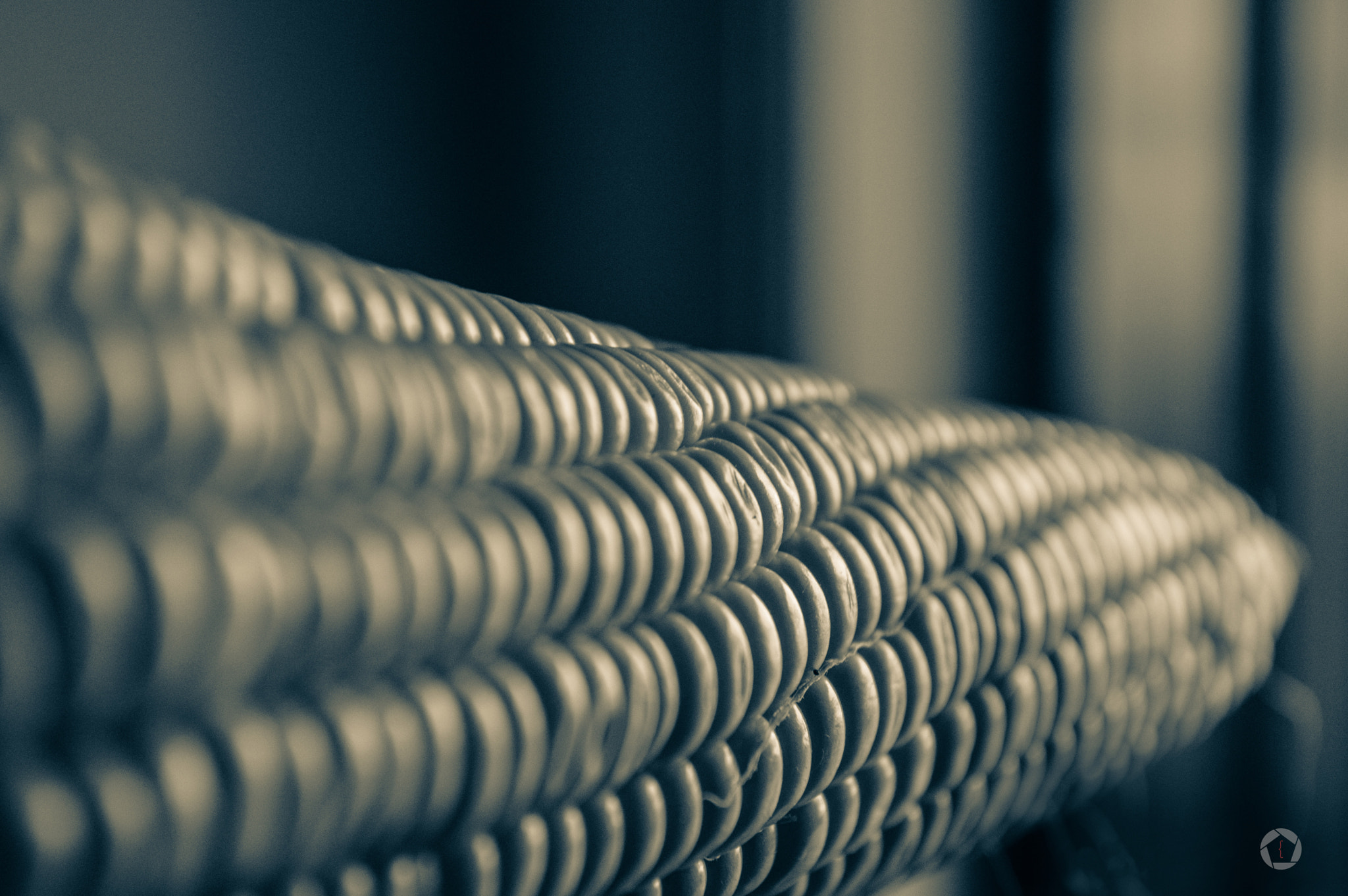 Nikon D3200 + Nikon AF-S Nikkor 28mm F1.8G sample photo. I love corn :) photography