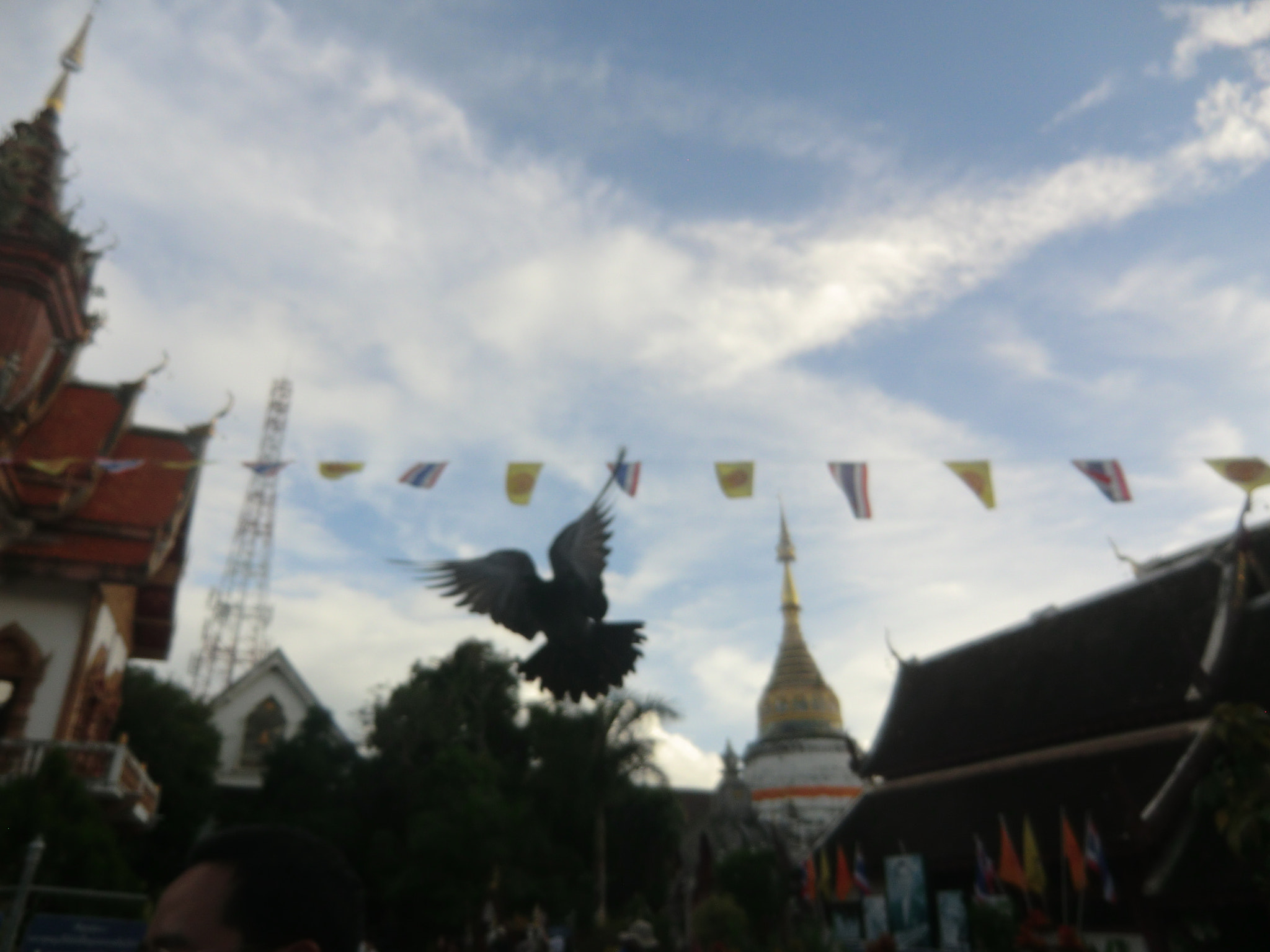 CASIO EX-H15 sample photo. Chiang mai photography
