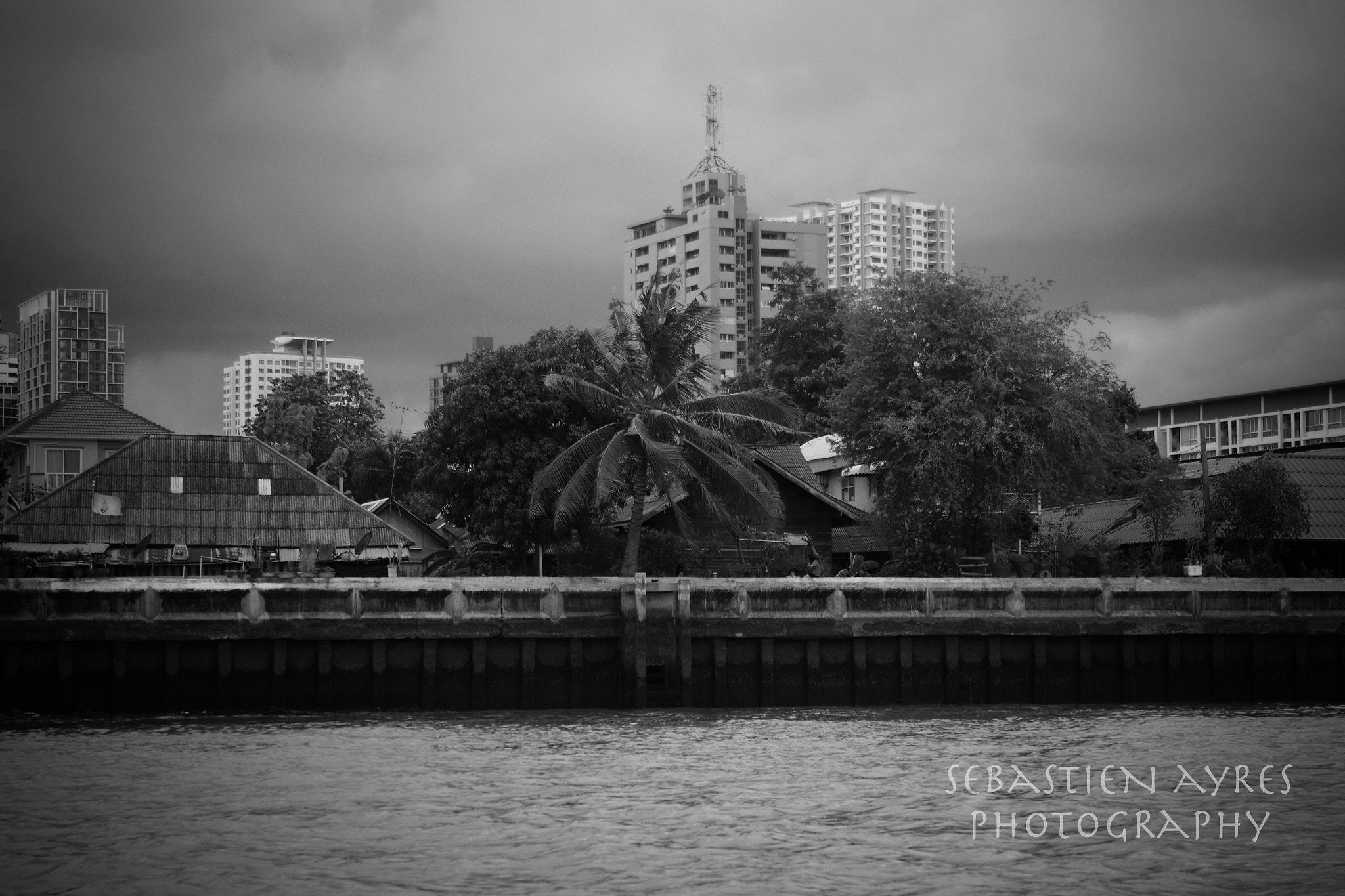 Pentax K-S2 sample photo. Windy palm photography