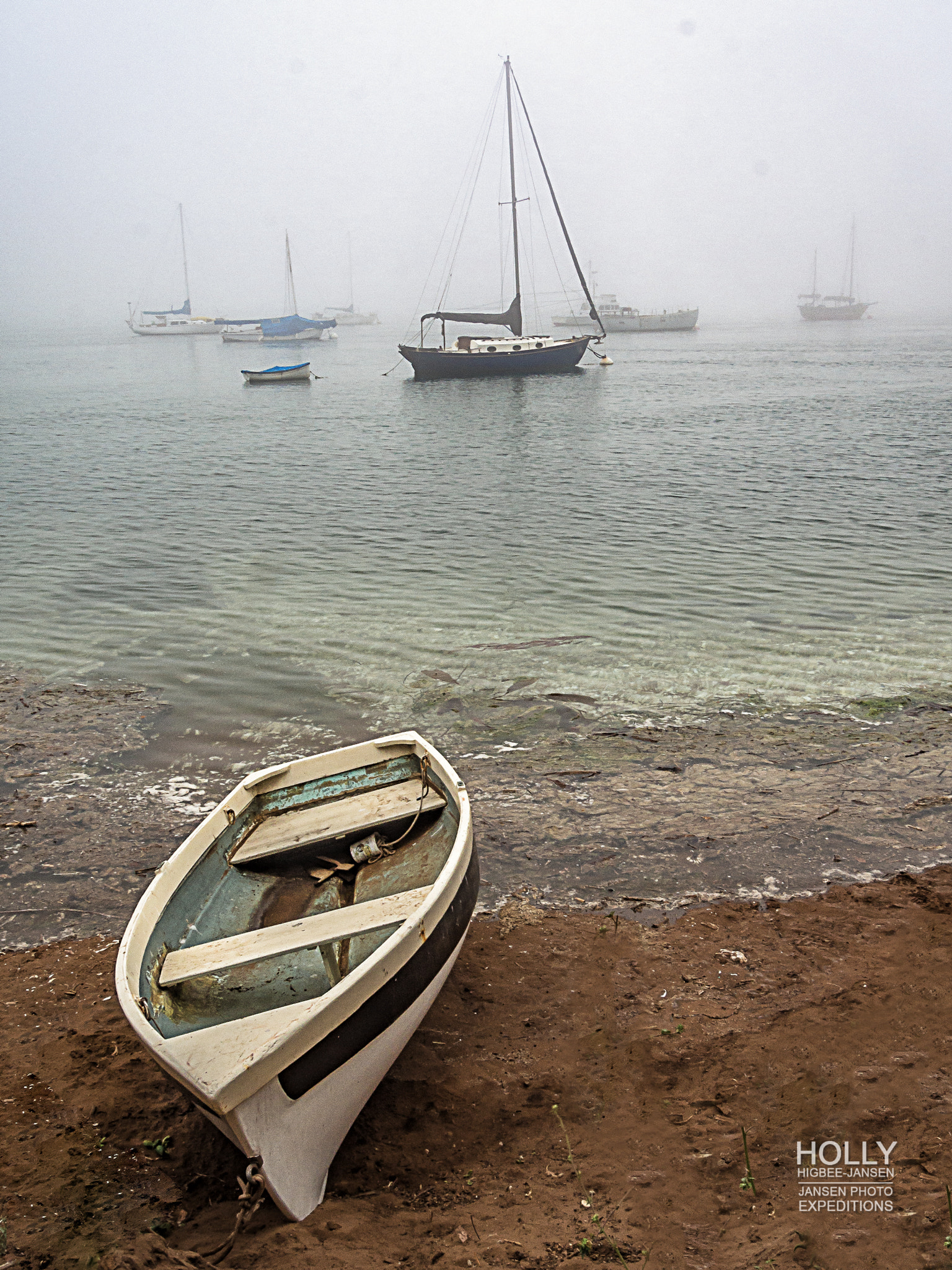 OLYMPUS 11-22mm Lens sample photo. Morro bay foggy sunset photography