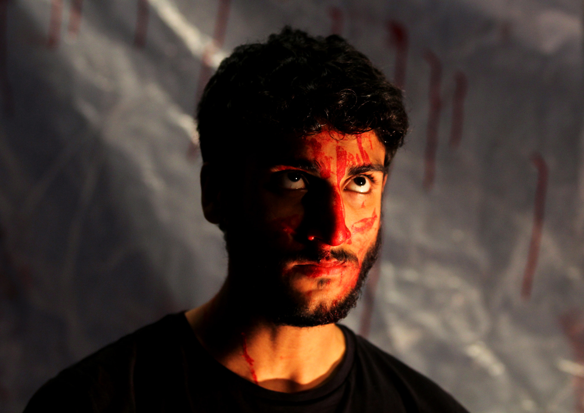 Canon EF 70-200mm F2.8L IS II USM sample photo. Macbeth behind the scenes photography