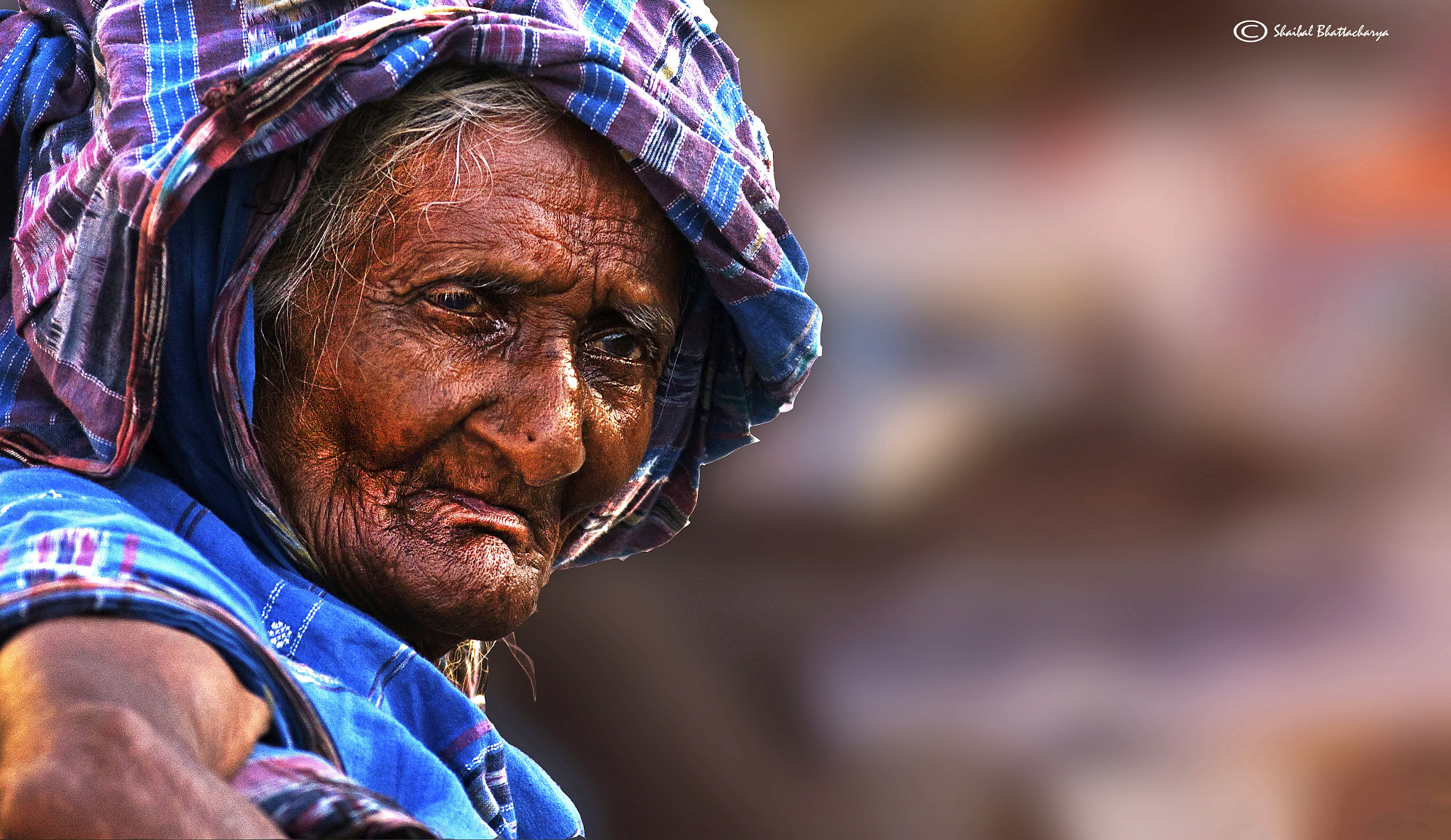 Canon EOS 5D + Canon EF 400mm F5.6L USM sample photo. The old lady photography