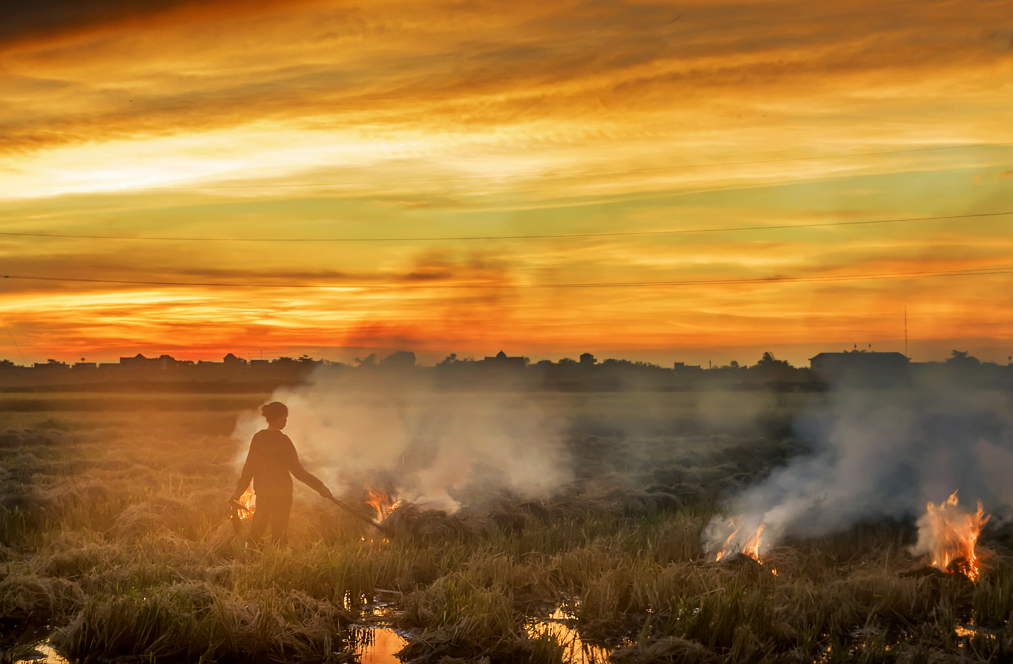 Nikon D5300 + Sigma 18-250mm F3.5-6.3 DC OS HSM sample photo. Country in viet nam. photography