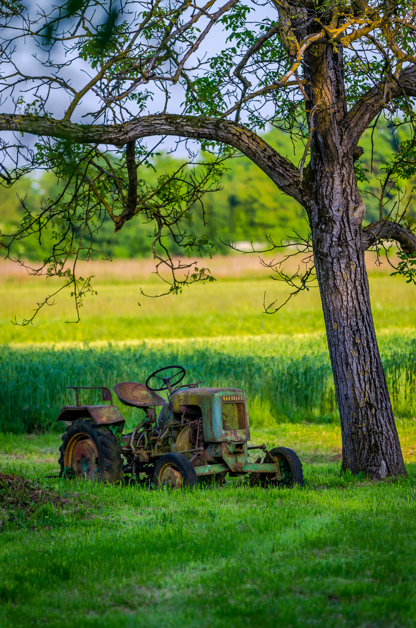 Sigma 70-200mm F2.8 EX DG OS HSM sample photo. Soon the harvest time photography