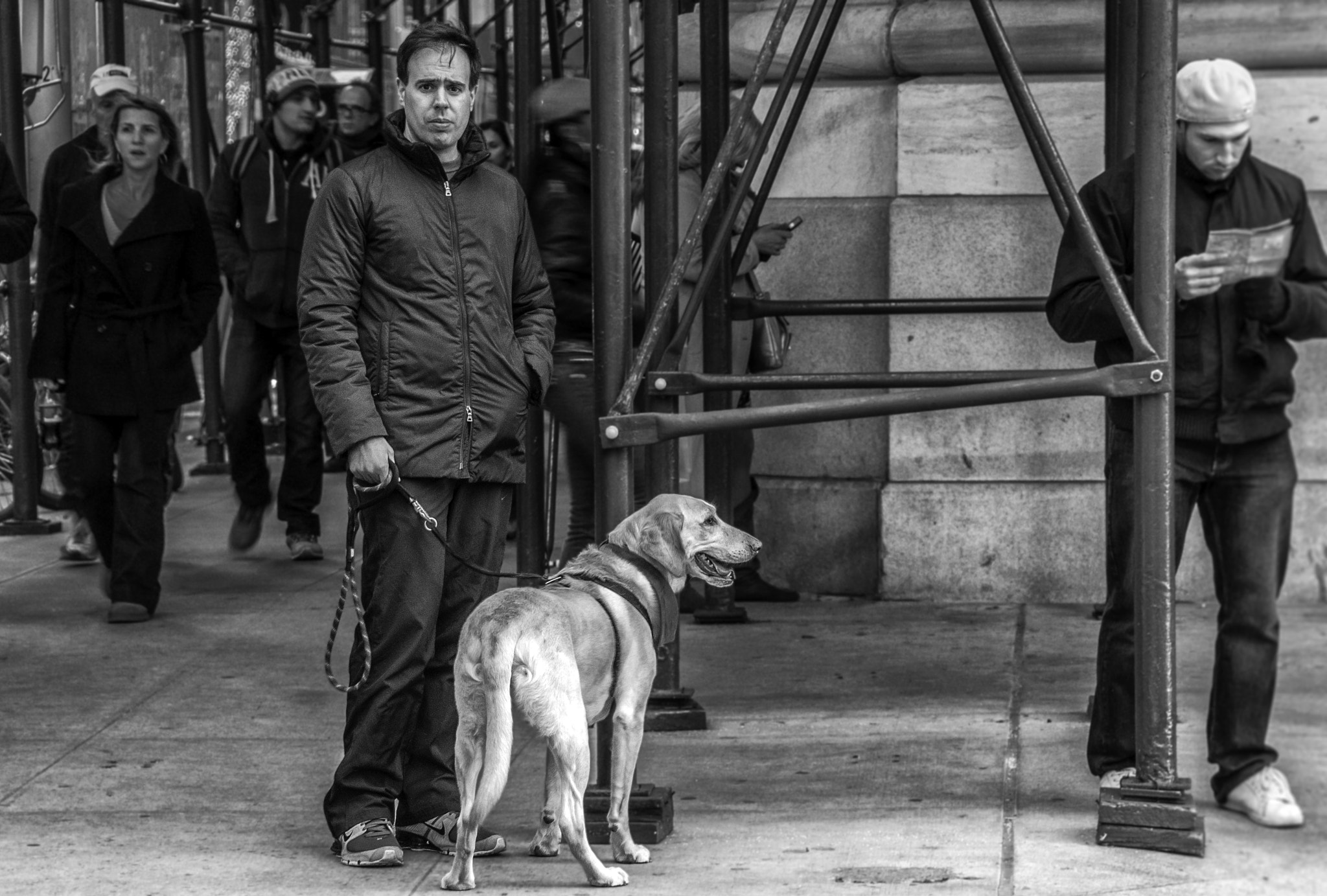 Sony Alpha NEX-3 sample photo. Man with labrador in new york city photography
