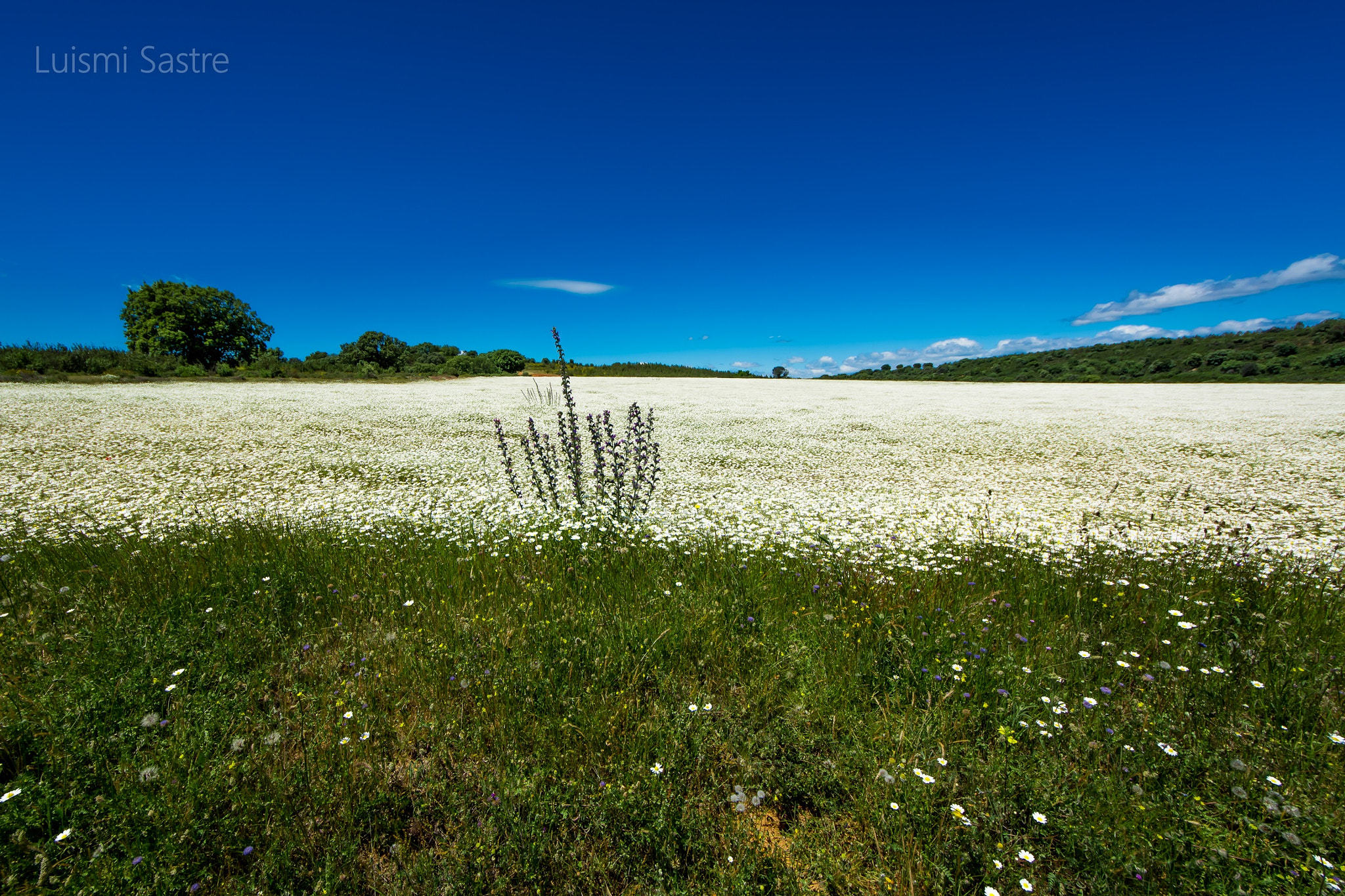 Sigma 8-16mm F4.5-5.6 DC HSM sample photo. Quintana y congosto photography