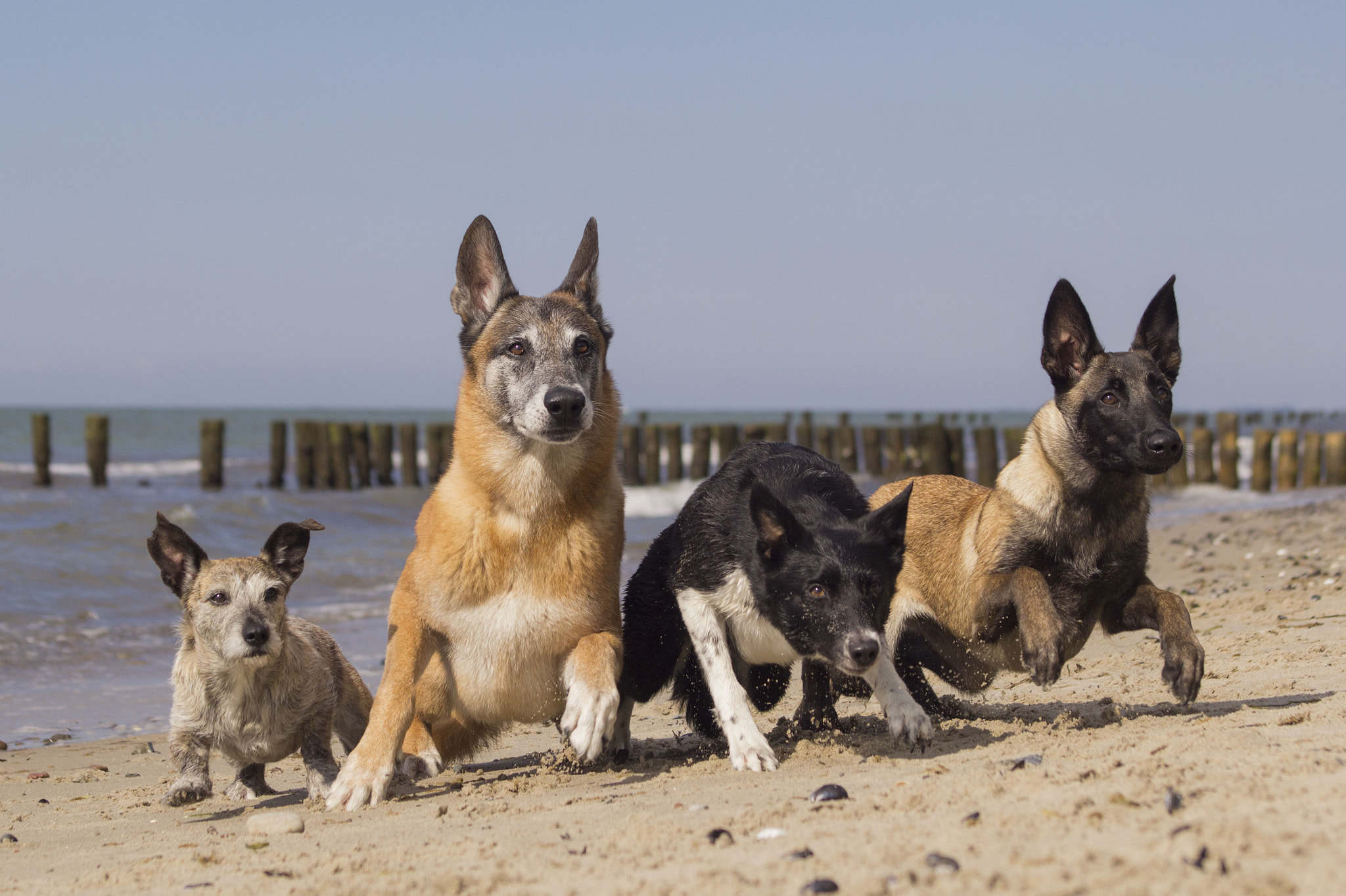 Canon EF 70-210mm f/3.5-4.5 USM sample photo. Beachtime photography