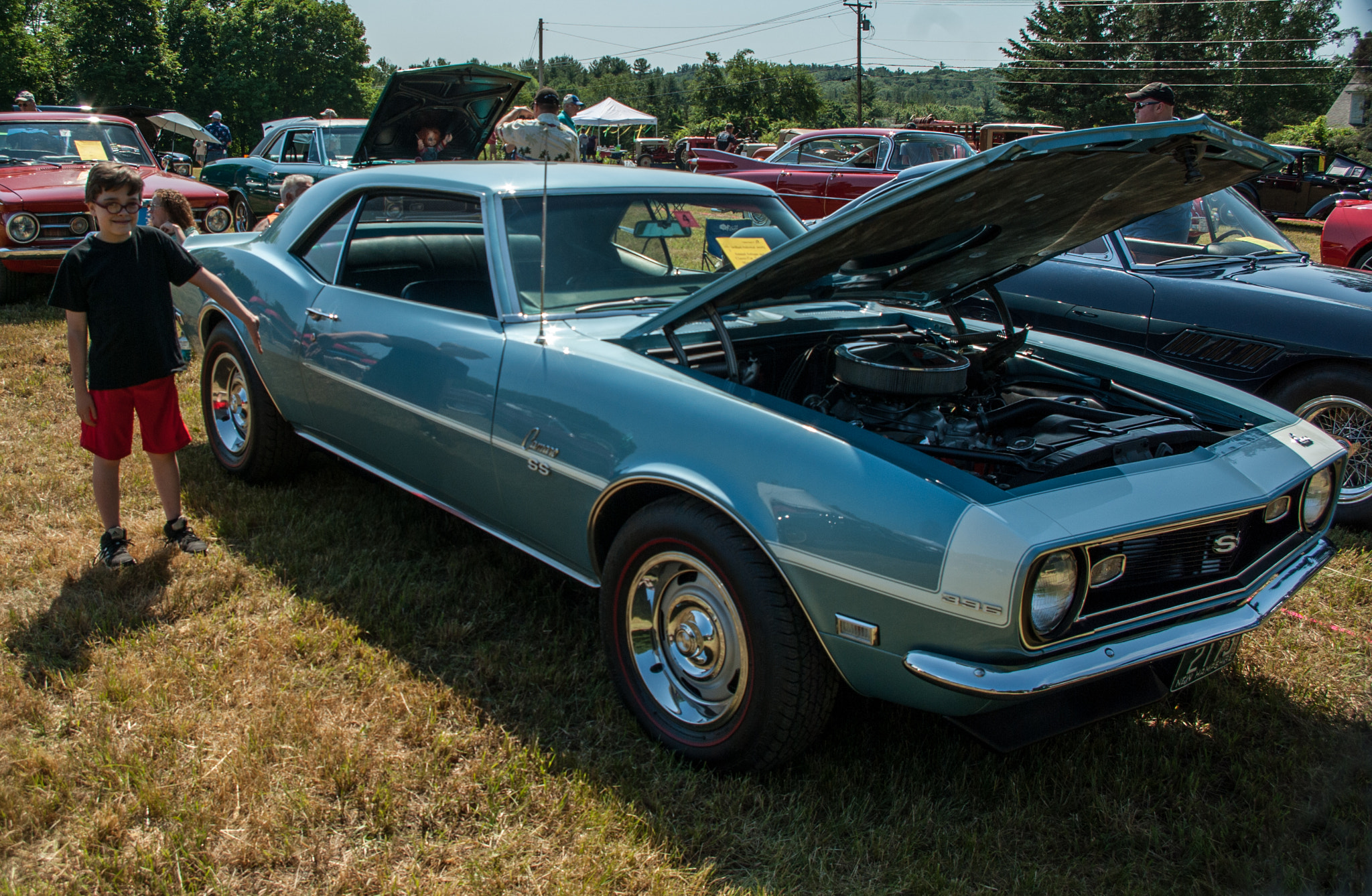 smc PENTAX-DA L 18-55mm F3.5-5.6 sample photo. Camaro photography