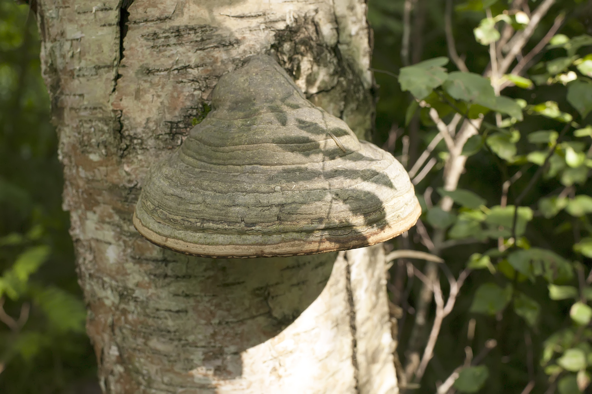 Canon EOS-1Ds sample photo. 5efs0034.jpg photography