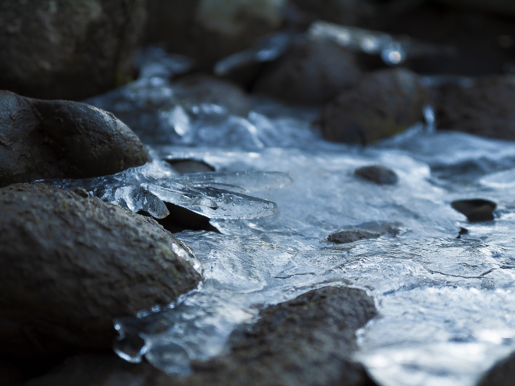 Panasonic Lumix DMC-GF2 + Panasonic Lumix G Vario 14-42mm F3.5-5.6 ASPH OIS sample photo. Winter crystal photography