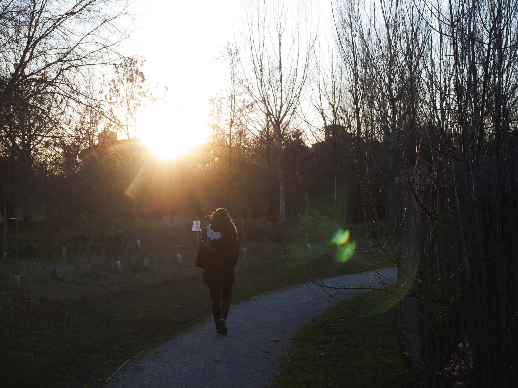 Panasonic Lumix DMC-GF2 sample photo. Walking in the sunset photography