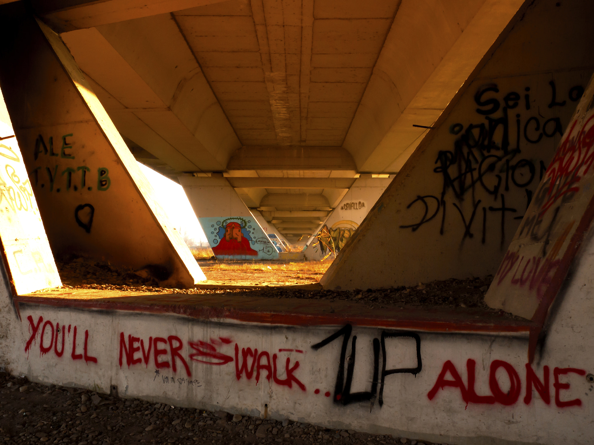 Panasonic Lumix DMC-GF2 sample photo. Wise graffiti photography