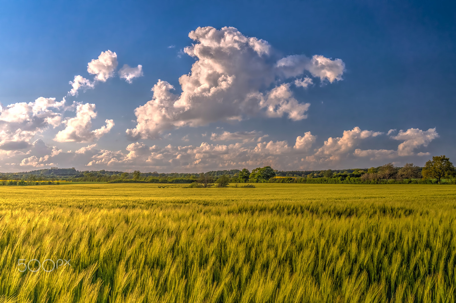 Sony Alpha NEX-3N + Sigma 30mm F2.8 EX DN sample photo. Dreamful sunset photography