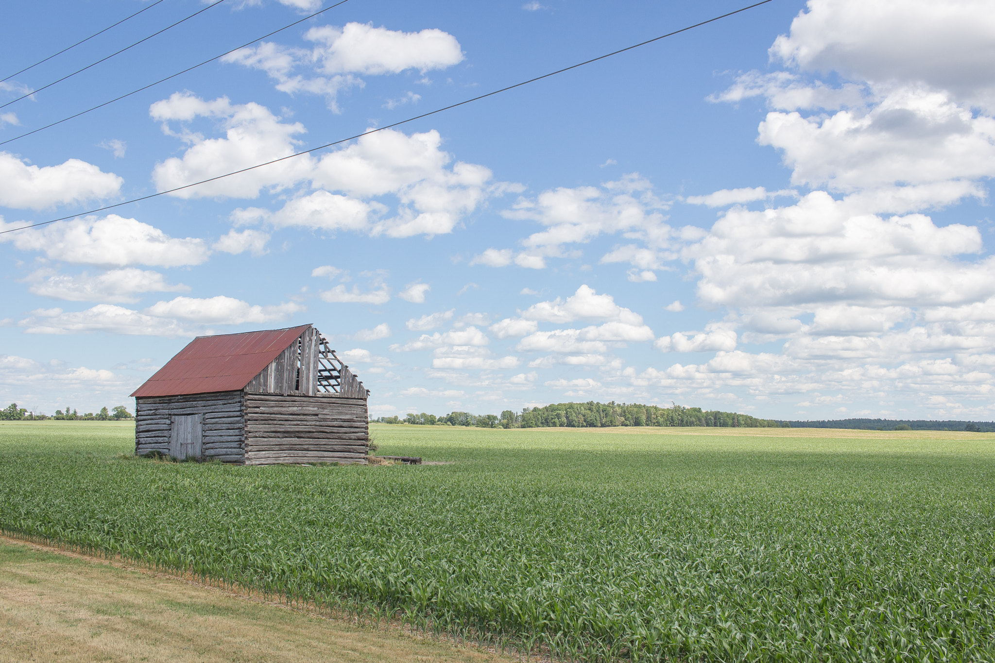 Canon EOS 100D (EOS Rebel SL1 / EOS Kiss X7) sample photo. Rural | ontario | canada photography