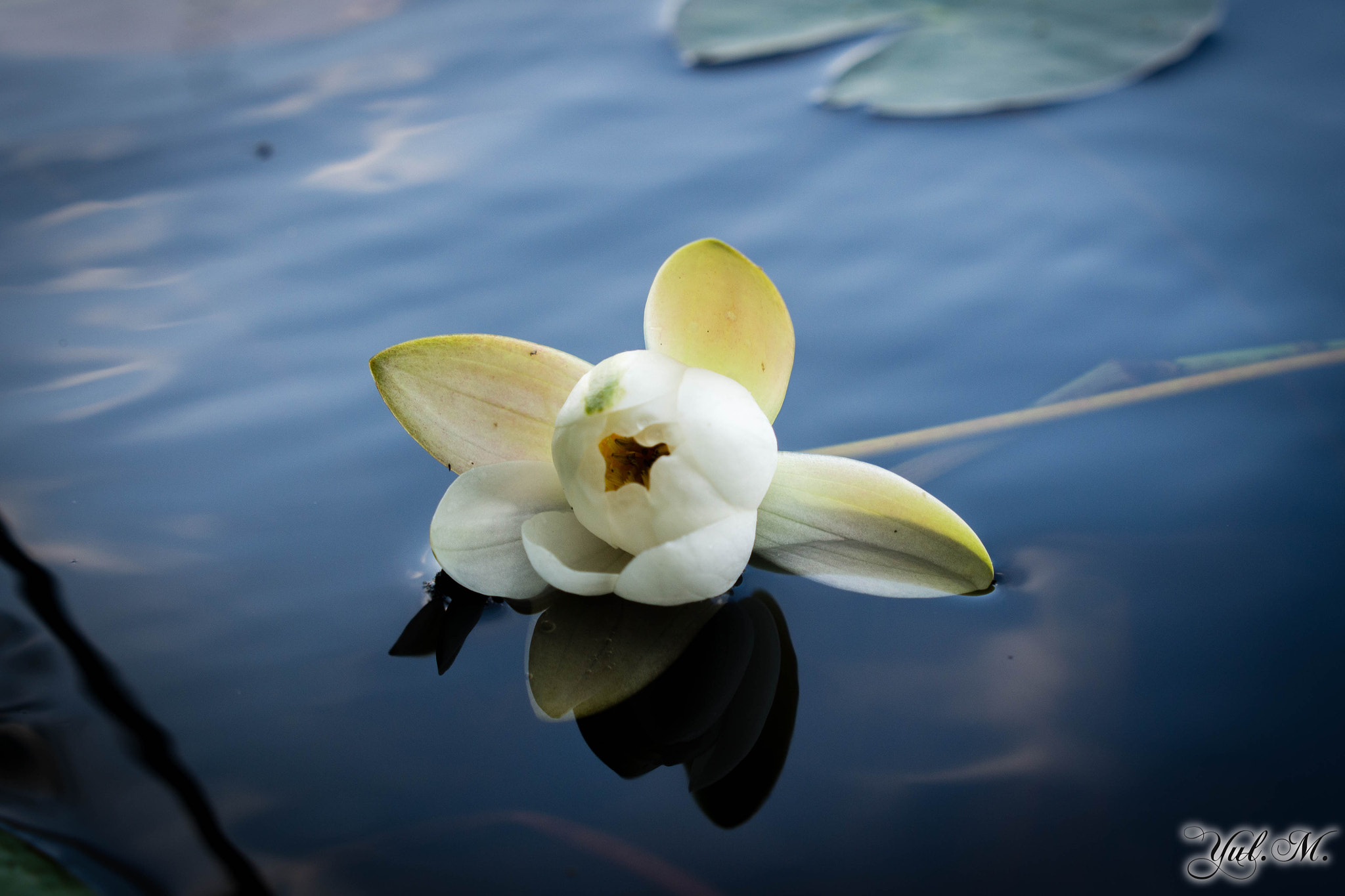 Panasonic Lumix G X Vario 12-35mm F2.8 ASPH Power OIS sample photo. Olympus digital camera photography
