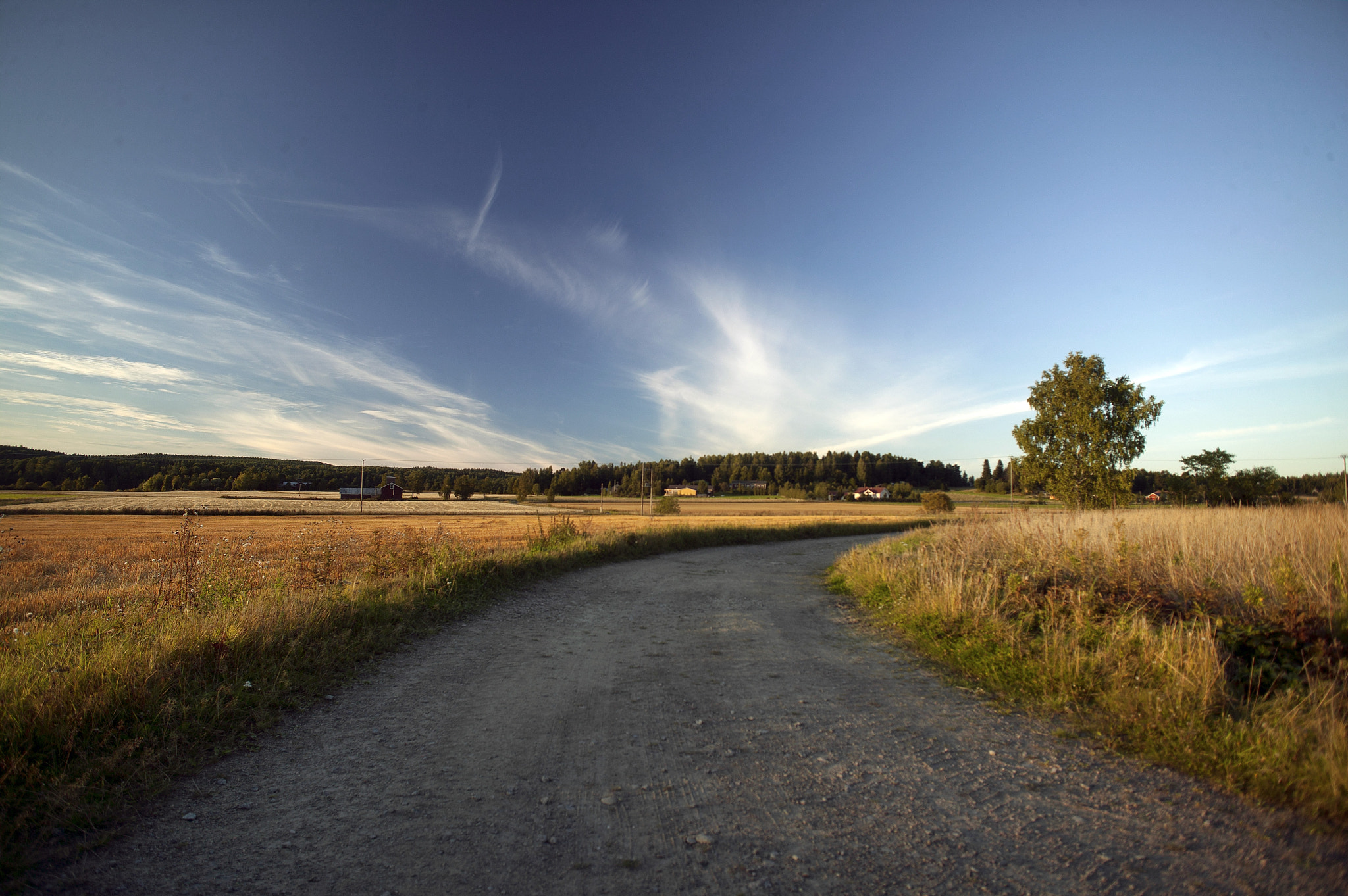 Canon EOS-1Ds sample photo. 5efs0011.jpg photography