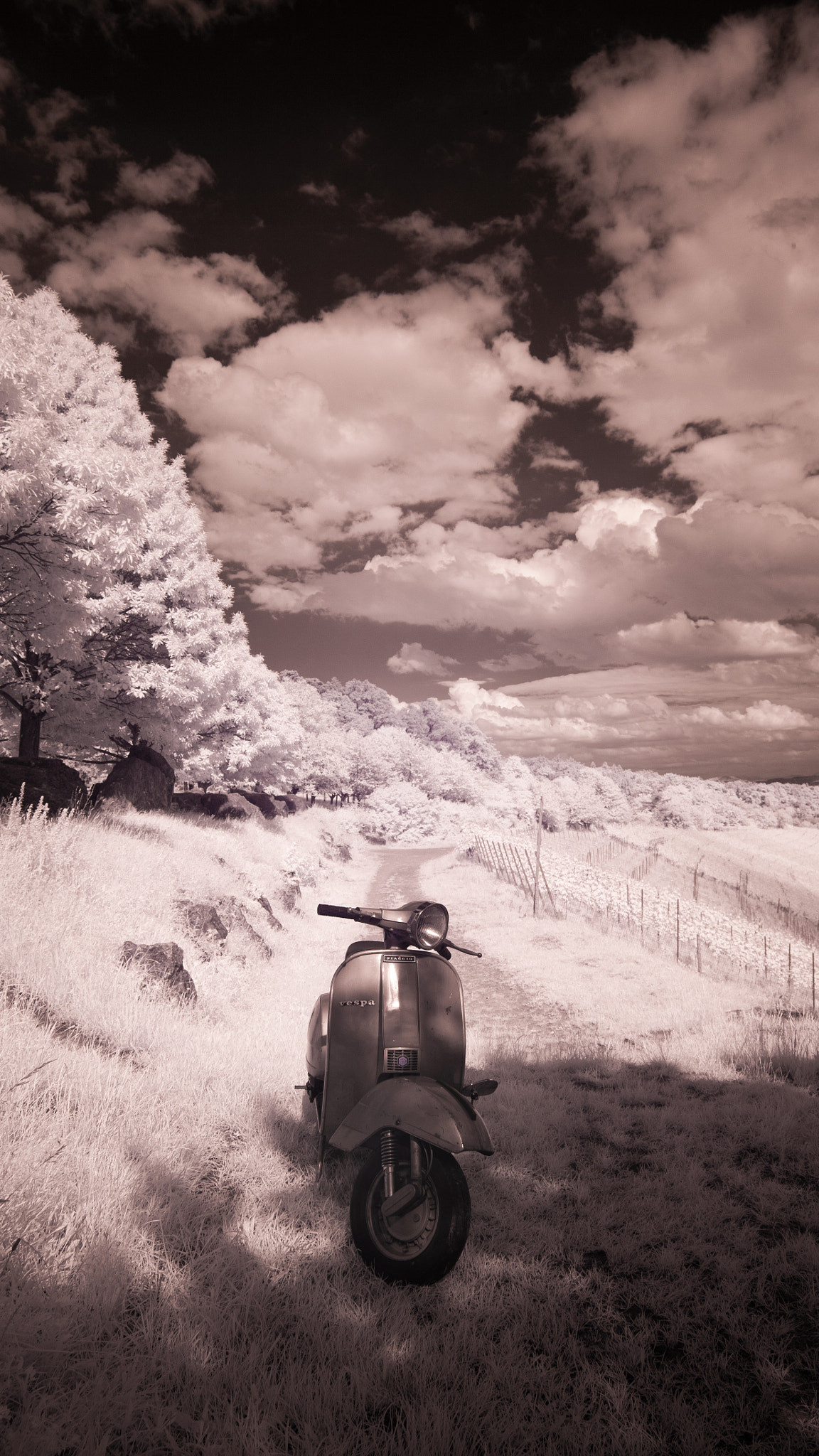 Canon EF 24-70mm F2.8L II USM sample photo. Ir vespa photography