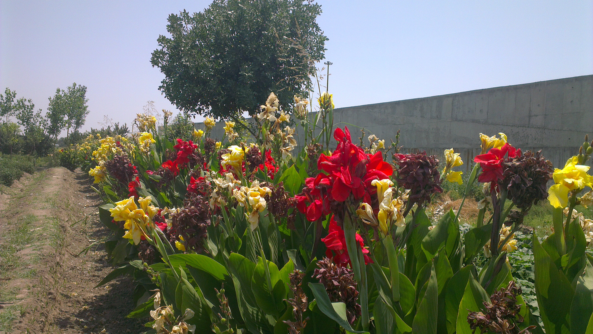 HTC ONE X sample photo
