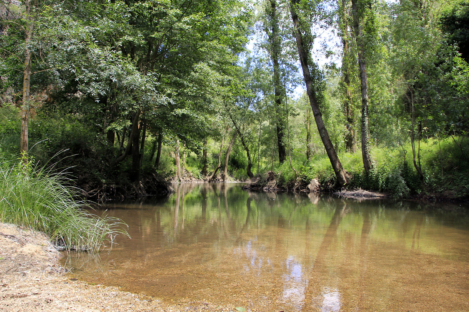 Canon EOS 60D + Canon TS-E 90mm F2.8 Tilt-Shift sample photo. River photography