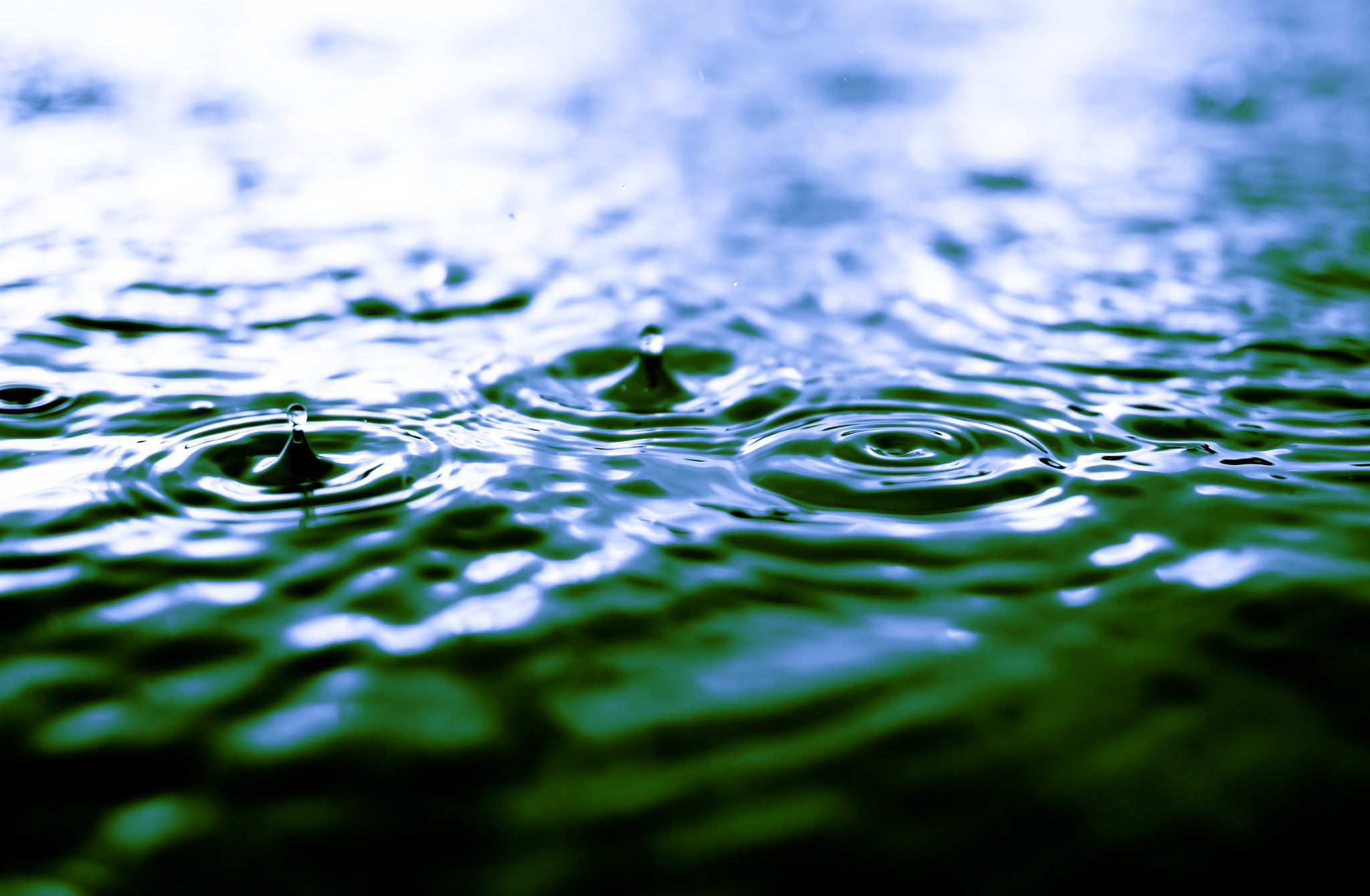 Panasonic Lumix DMC-GX8 + LUMIX G 20/F1.7 II sample photo. Rain photography