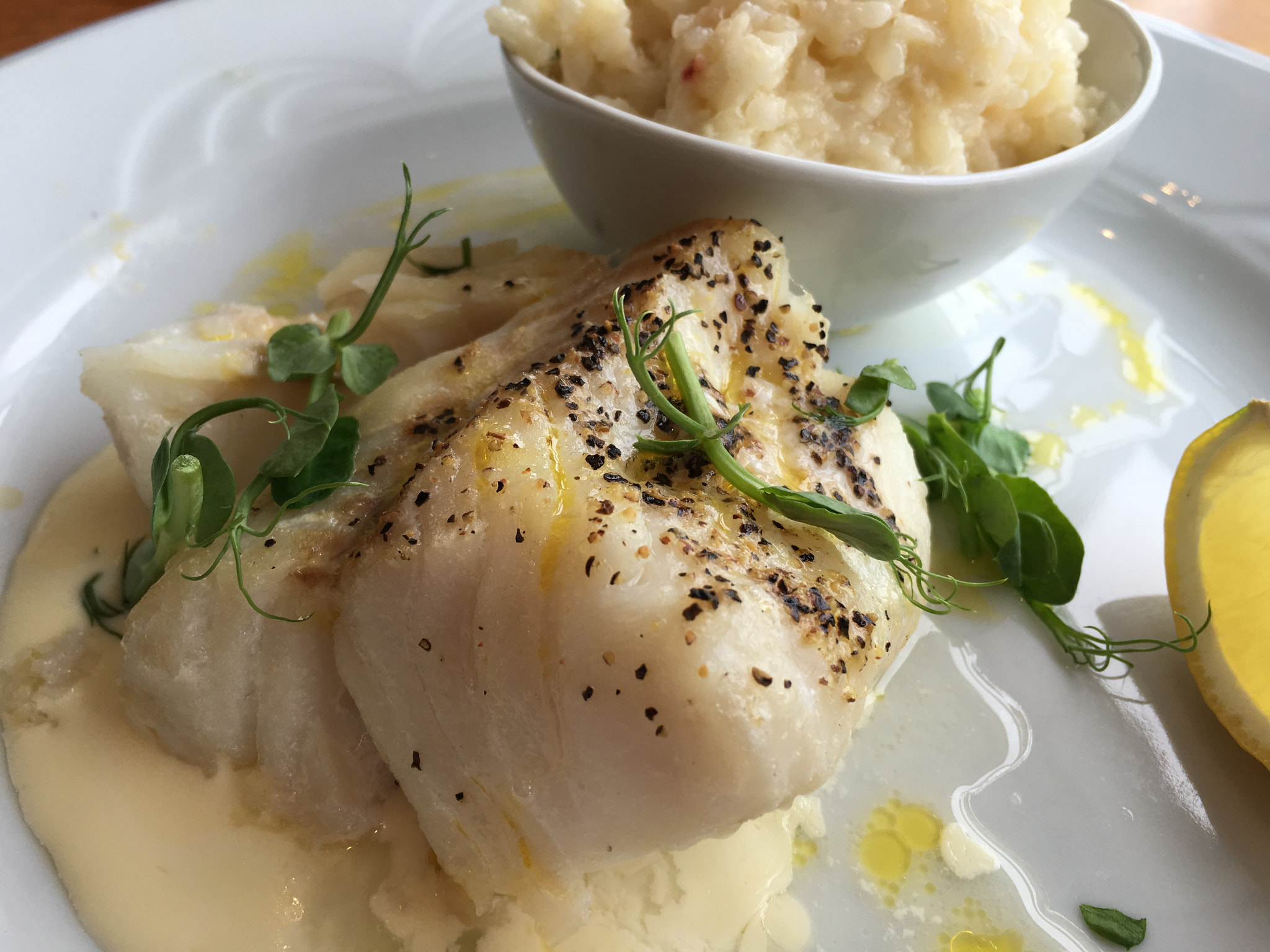 Halibut with risotto-I like how the light plays on the oil and the bright white dishes.