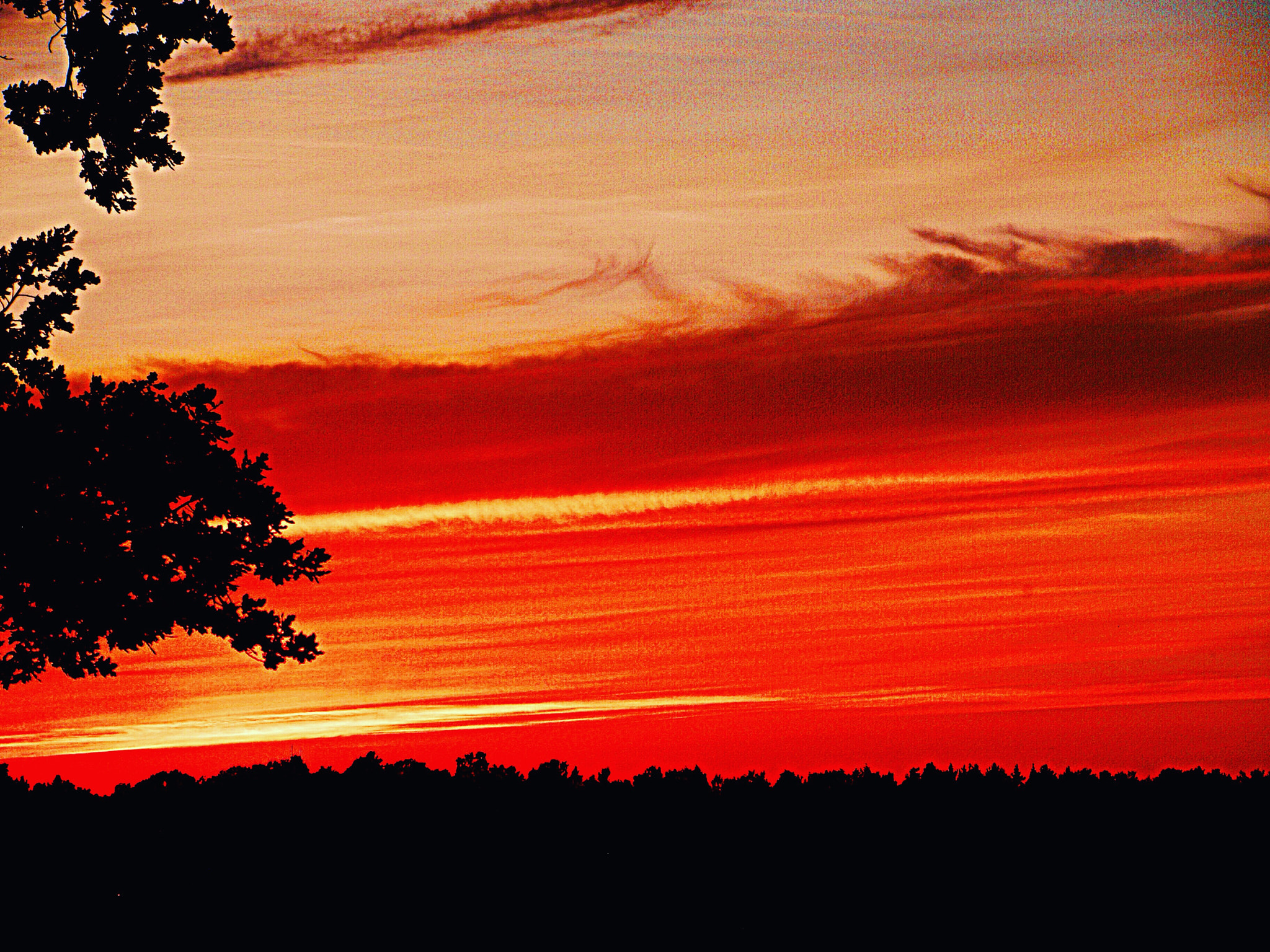 Olympus E-400 (EVOLT E-400) sample photo. Sunset. photography