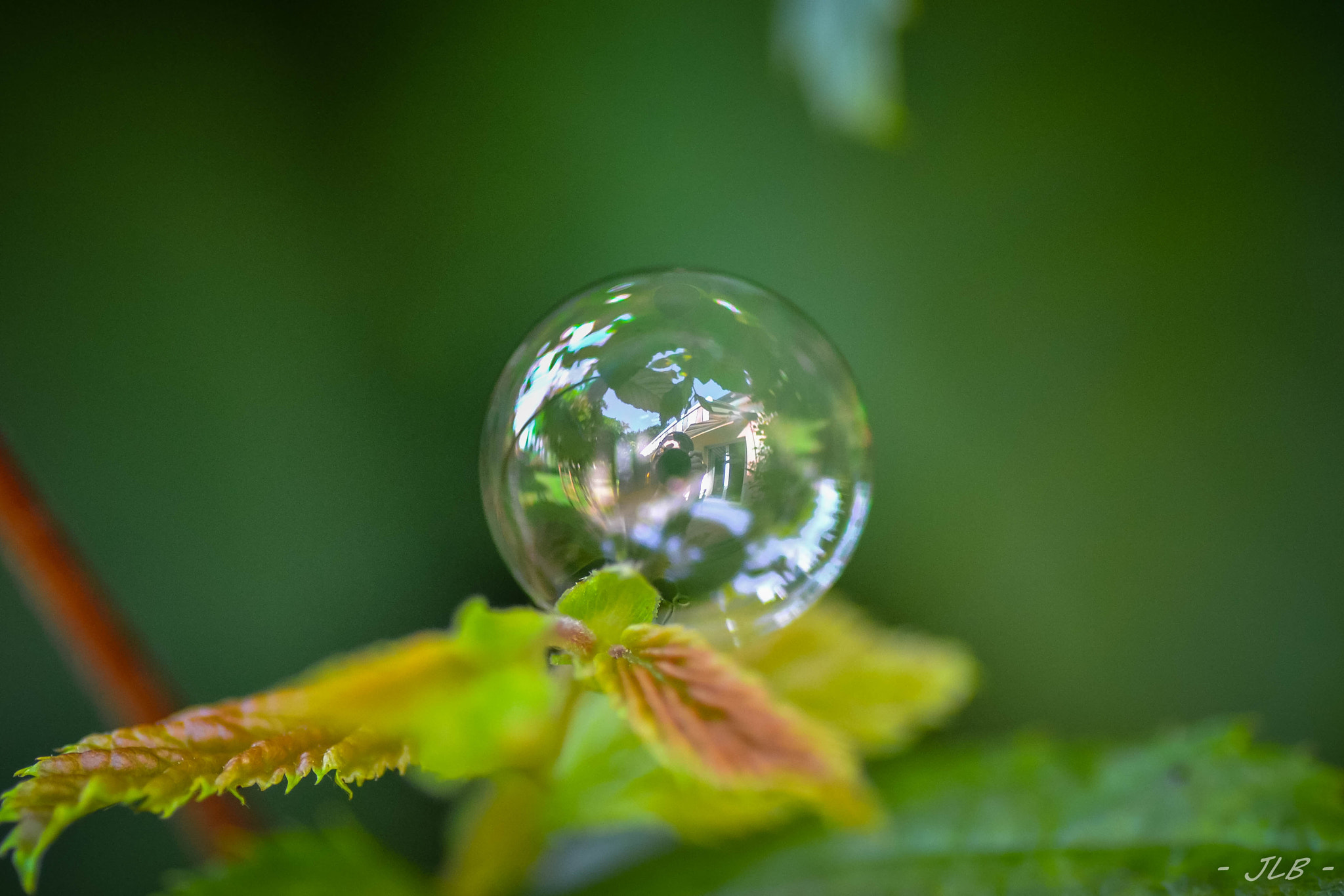 Nikon D3100 sample photo. Bubble photography