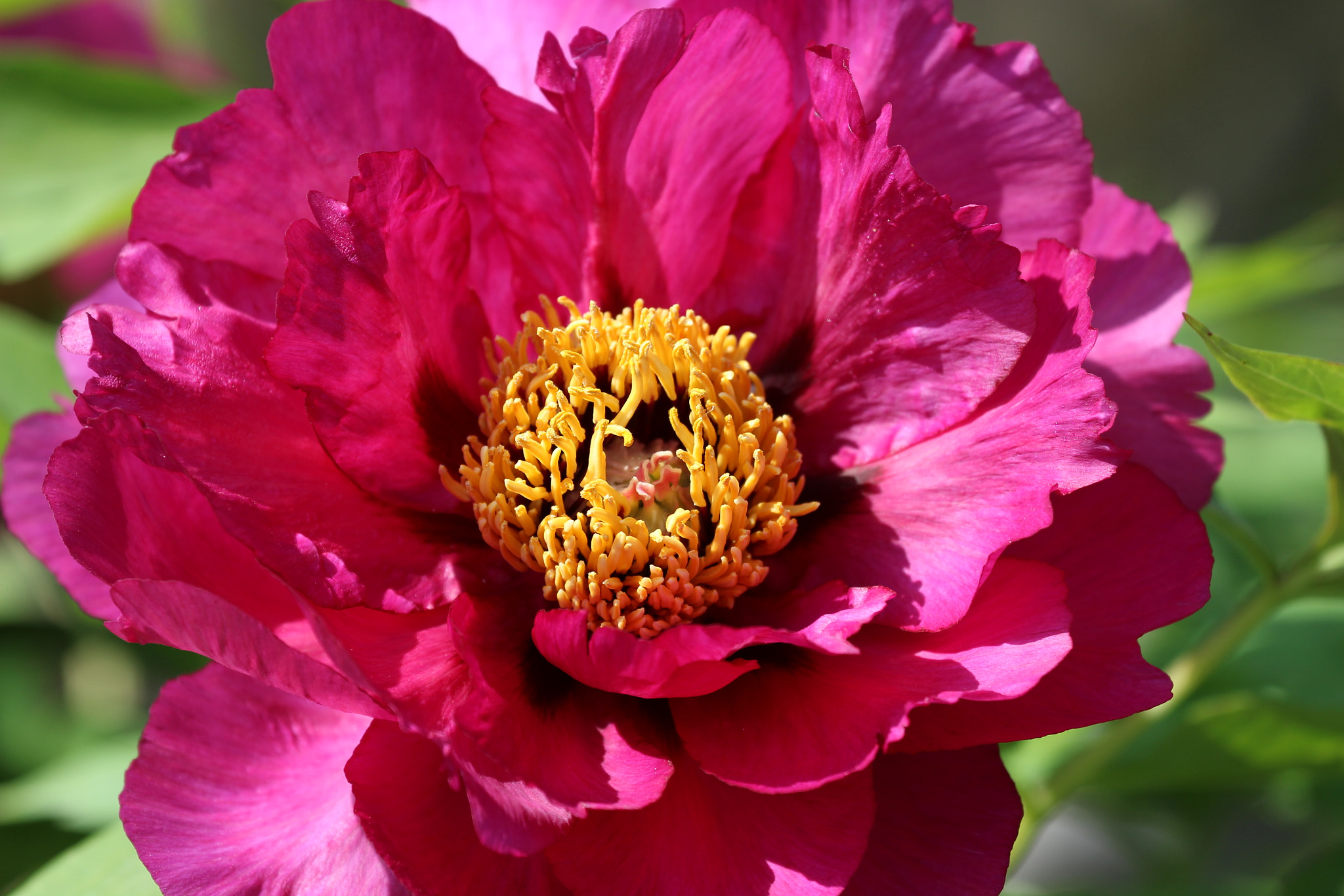 Canon EF 70-300mm F4-5.6L IS USM sample photo