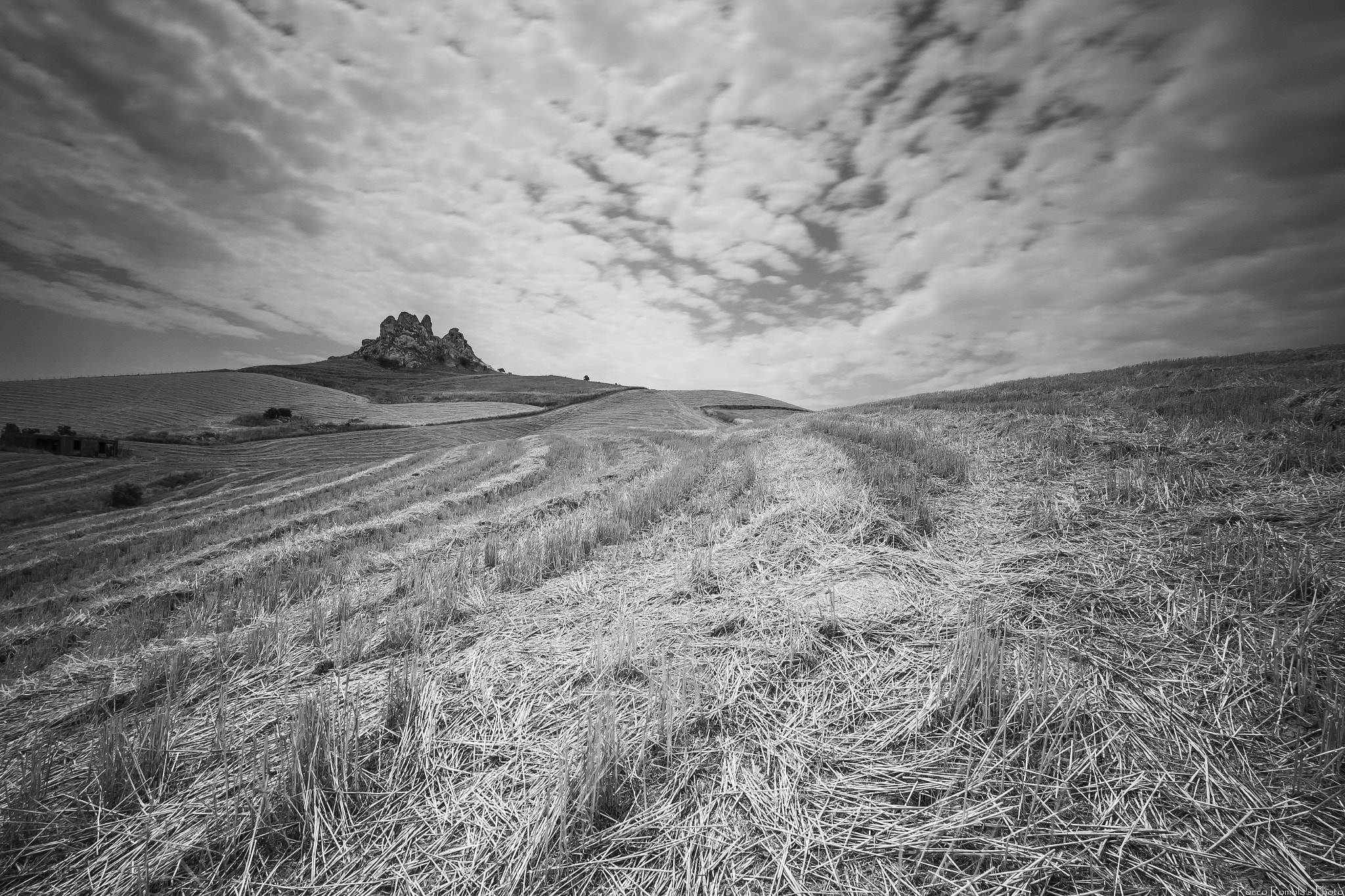 Canon EOS M sample photo. I cerchi di grano photography