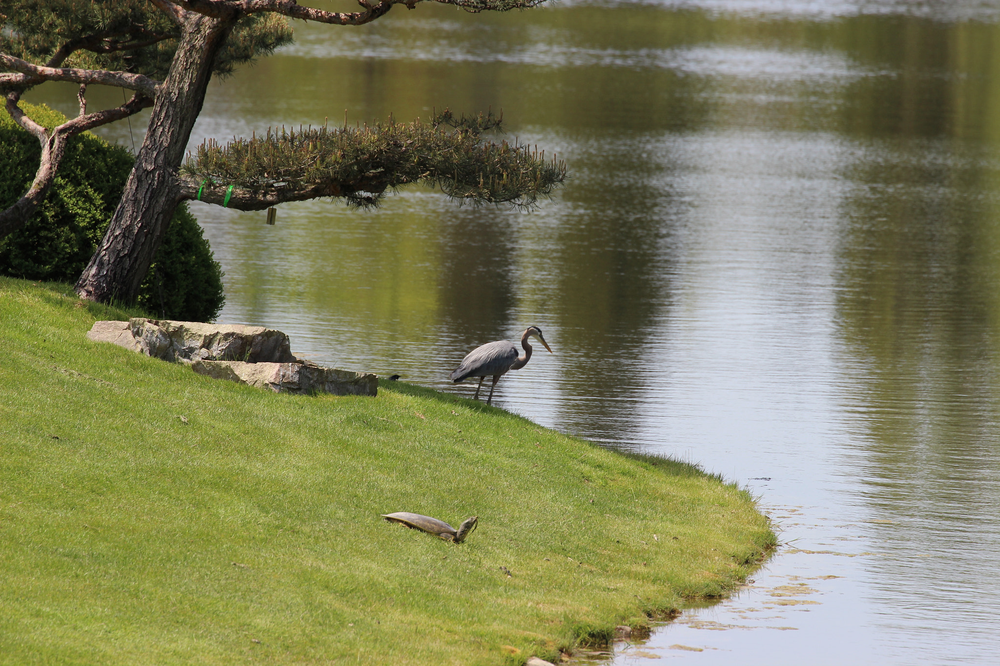 Canon EF 70-300mm F4-5.6L IS USM sample photo
