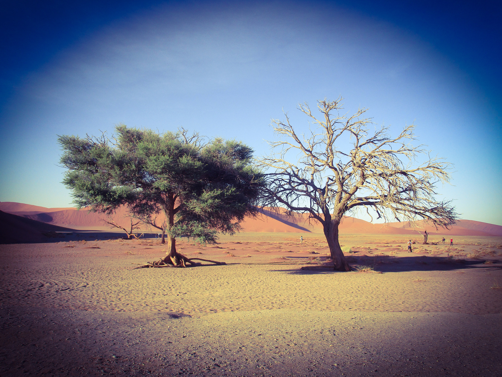 Canon PowerShot ELPH 170 IS (IXUS 170 / IXY 170) sample photo. Dune 45 // namibia photography