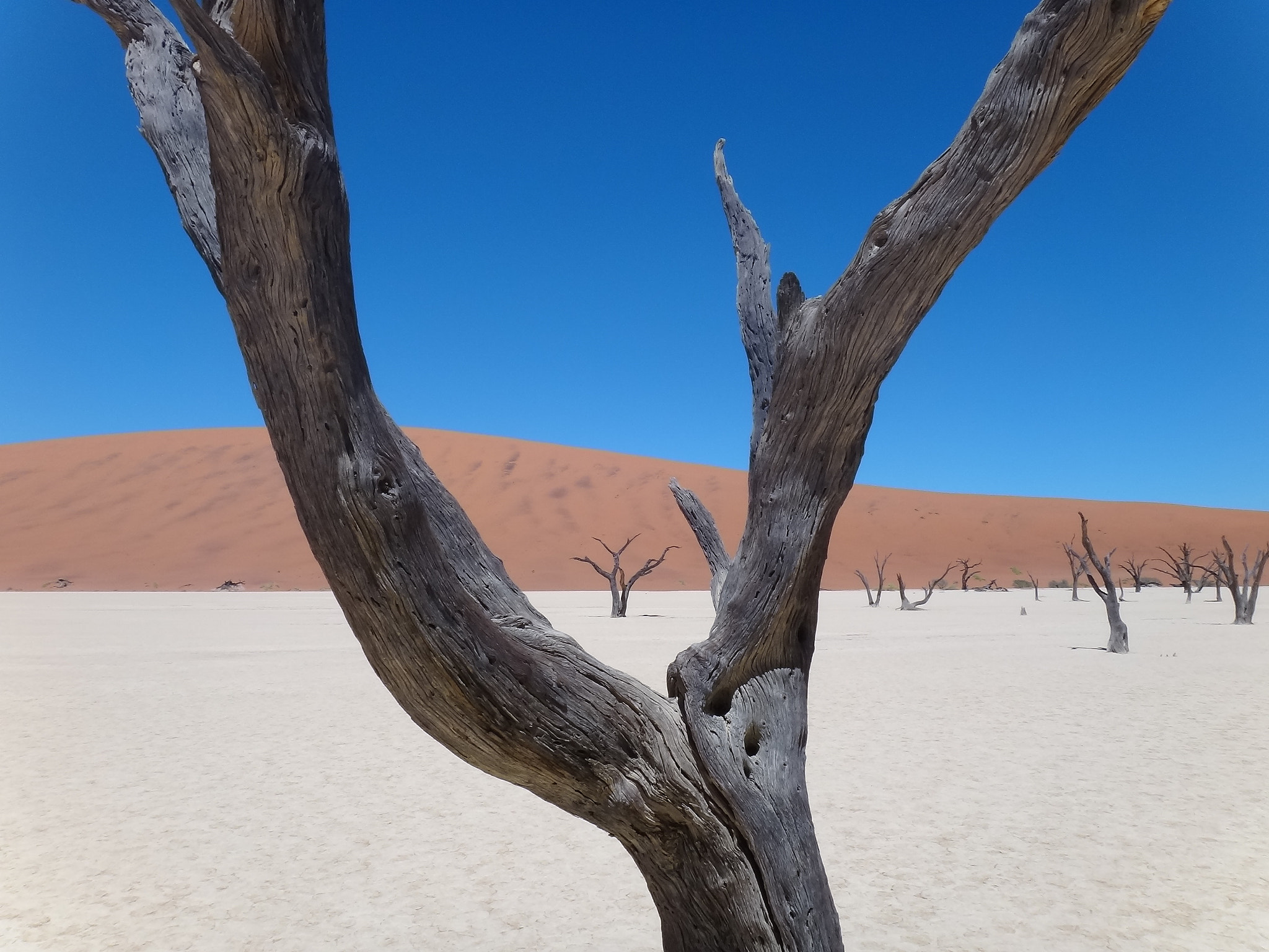 Sony Cyber-shot DSC-TX10 sample photo. Deadvlei photography