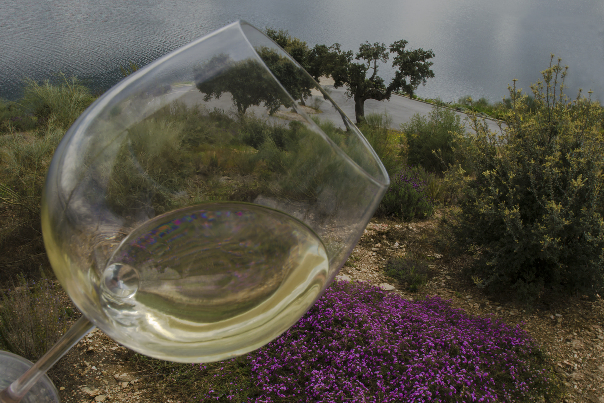 Nikon AF-S Nikkor 17-35mm F2.8D ED-IF sample photo. "landscape of alentejo - portugal" photography