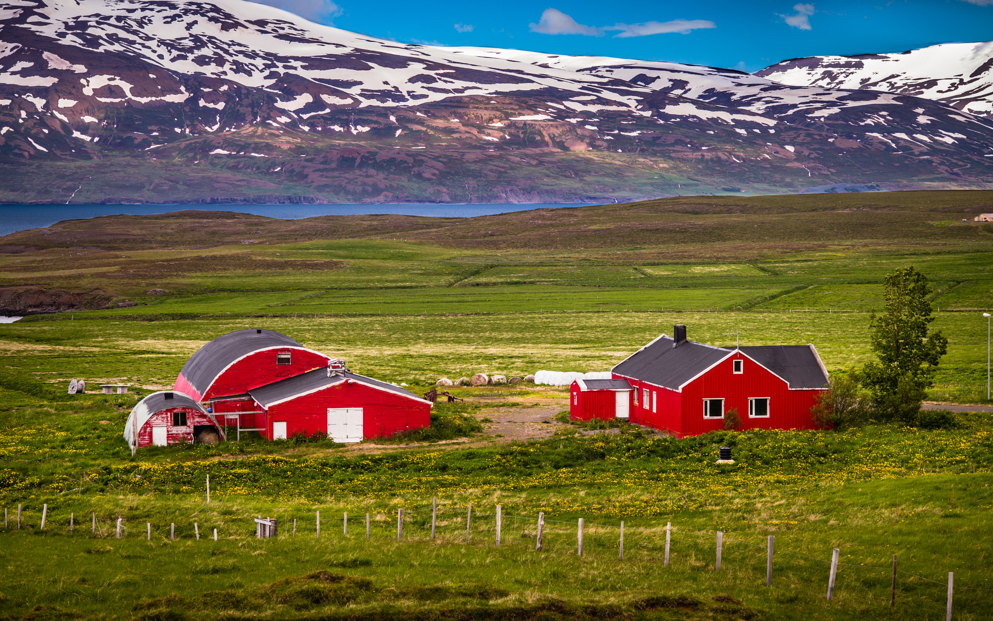 Leica APO-Summicron-M 90mm F2 ASPH sample photo. Iceland: the north - colorful island farming 2 :-))) photography