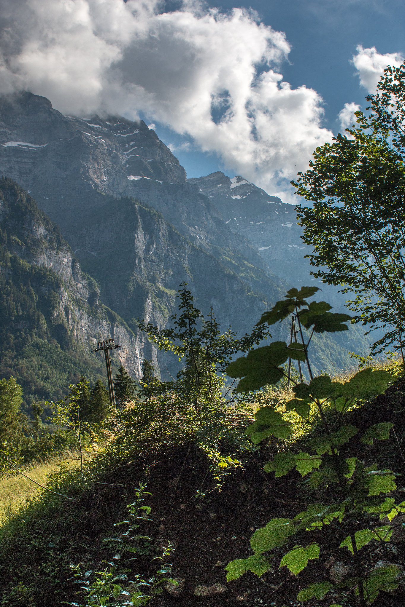 Canon EOS 70D + Canon EF 28mm F1.8 USM sample photo. Summer alps iv photography