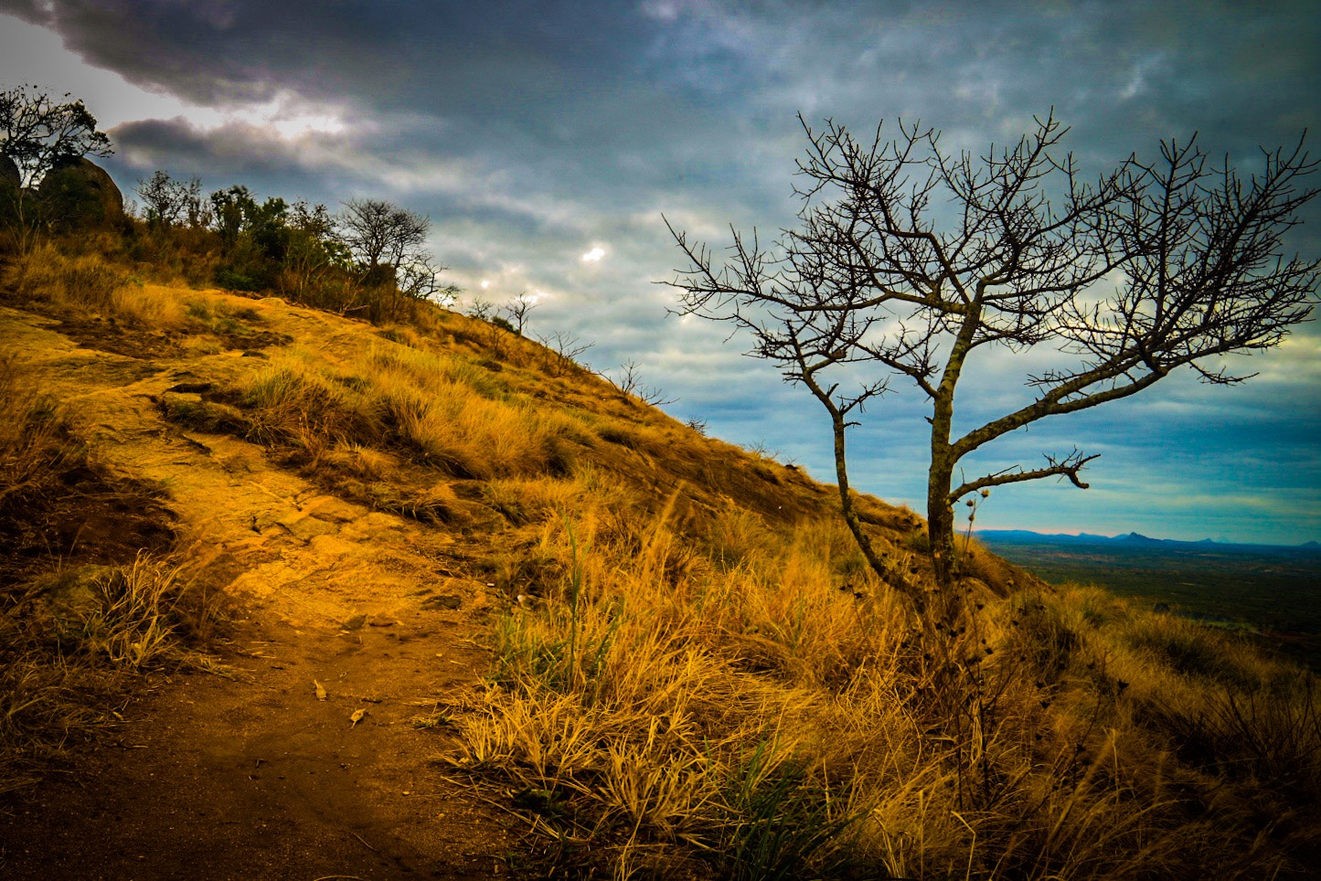 Canon EF 24-105mm F3.5-5.6 IS STM sample photo. Adventure time photography