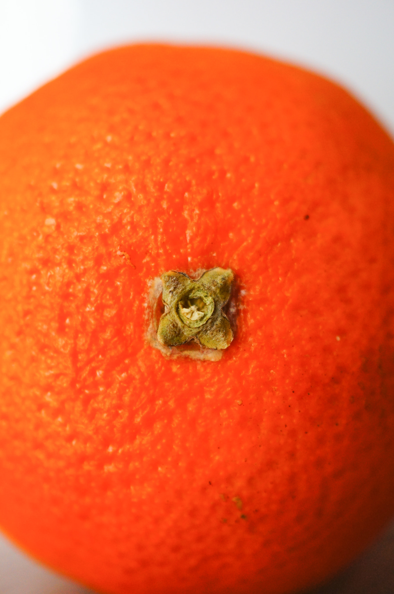 Sony Alpha NEX-5N + Sony E 30mm F3.5 Macro sample photo. Orange close up photography