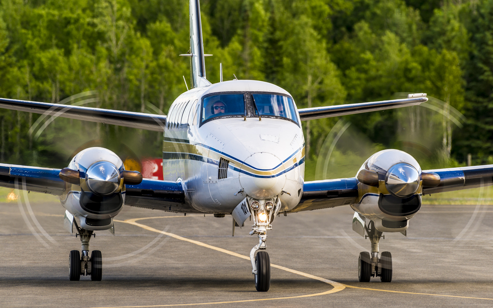 Nikon AF-S Nikkor 200-500mm F5.6E ED VR sample photo. The king(air) photography