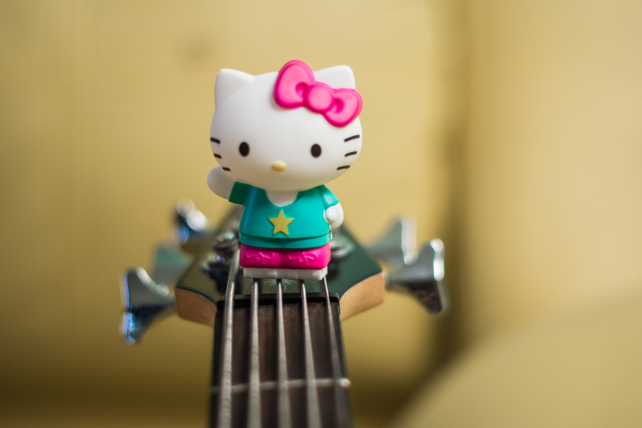 Nikon D5500 + Nikon AF-S Nikkor 50mm F1.4G sample photo. Kitty play bass guitar photography