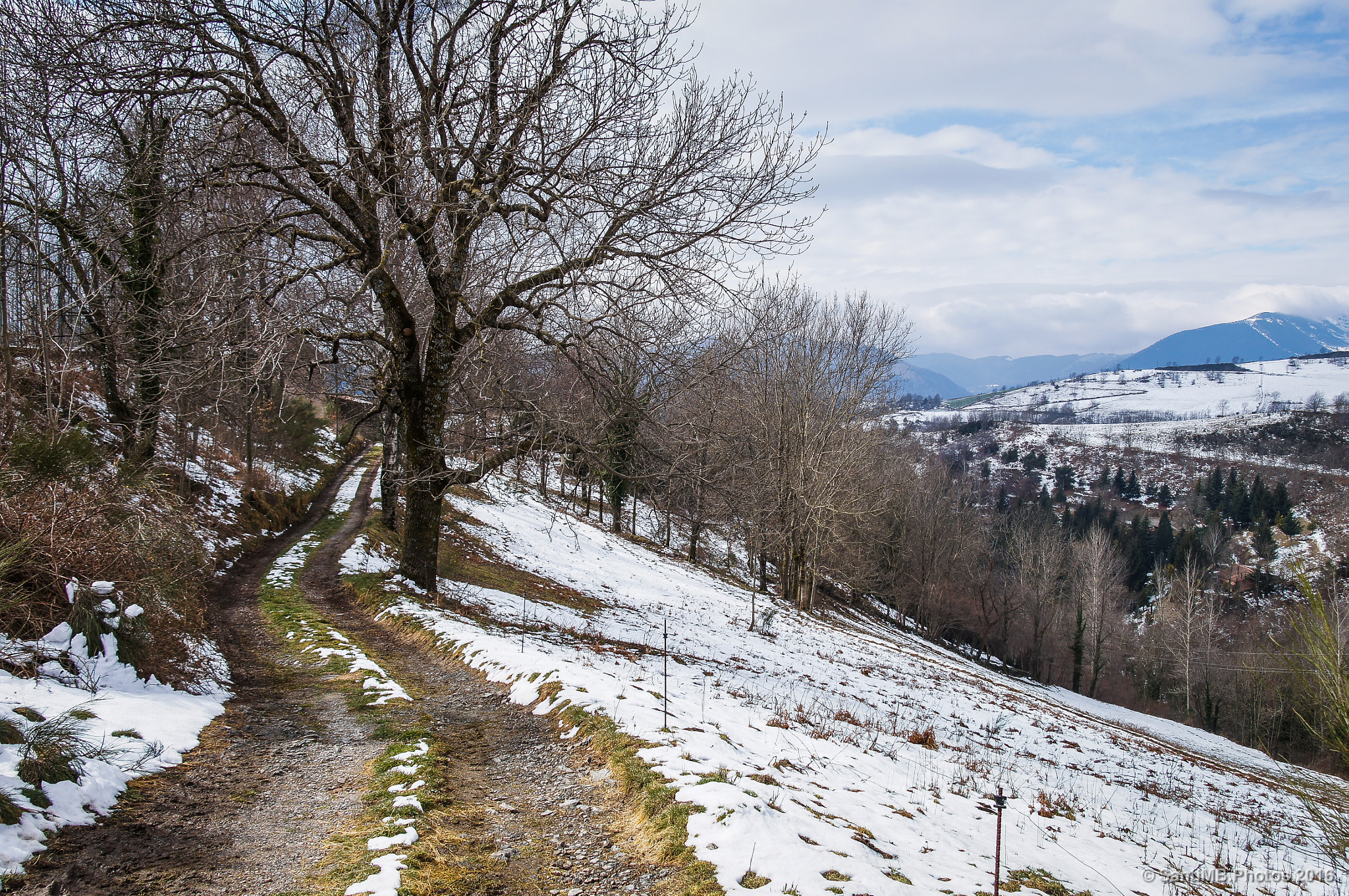 Sony Alpha DSLR-A580 sample photo. Camino a alguna parte photography