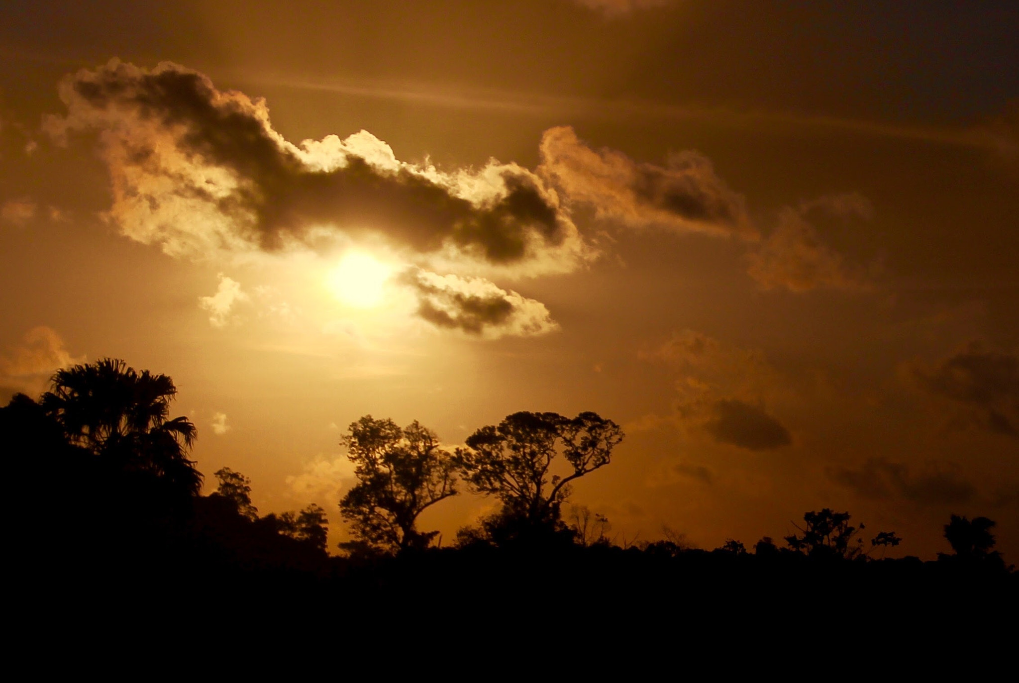Canon EF-S 18-55mm F3.5-5.6 IS II sample photo. Sunrise ! photography