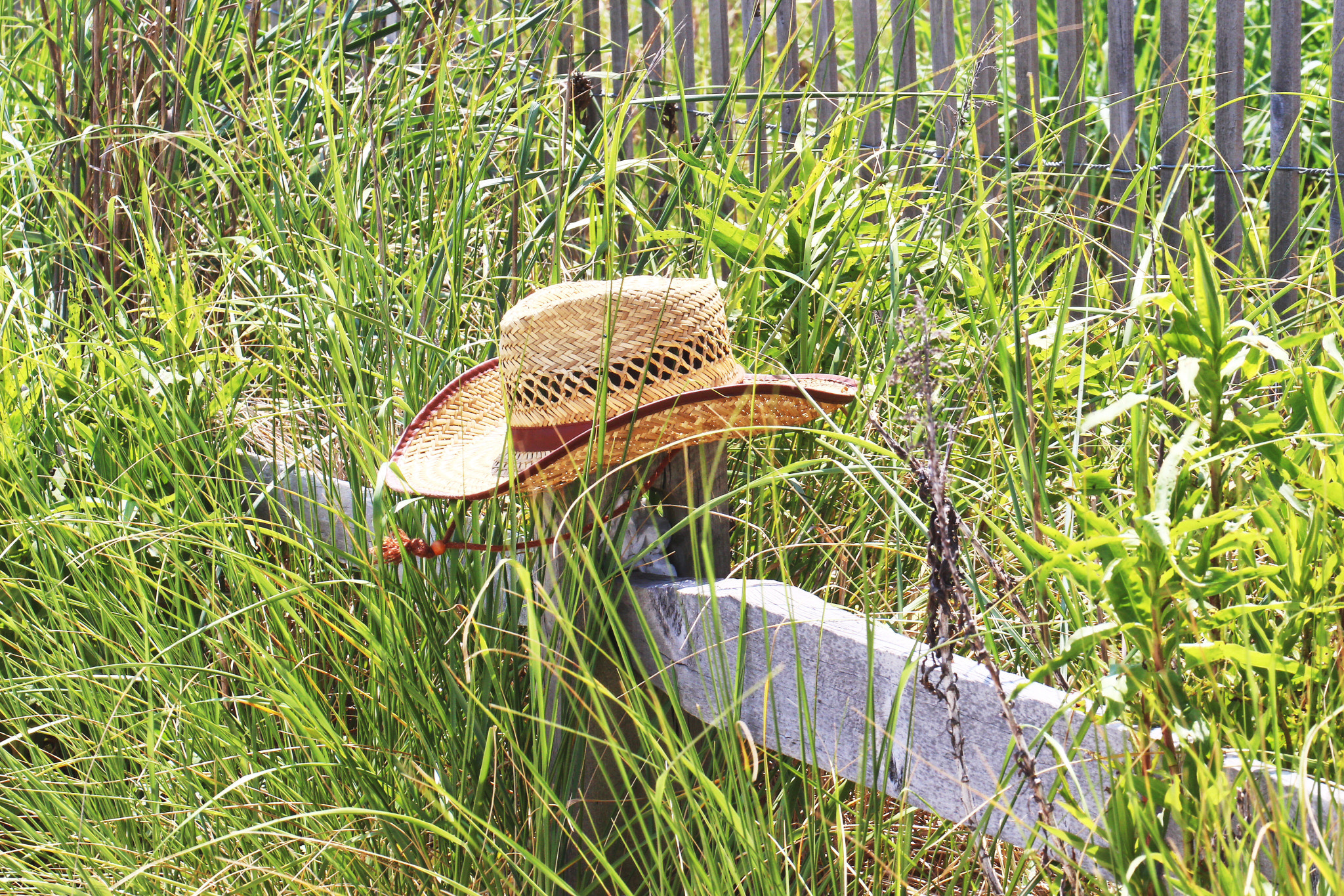 Canon EOS 650D (EOS Rebel T4i / EOS Kiss X6i) sample photo. Hat on fence post photography