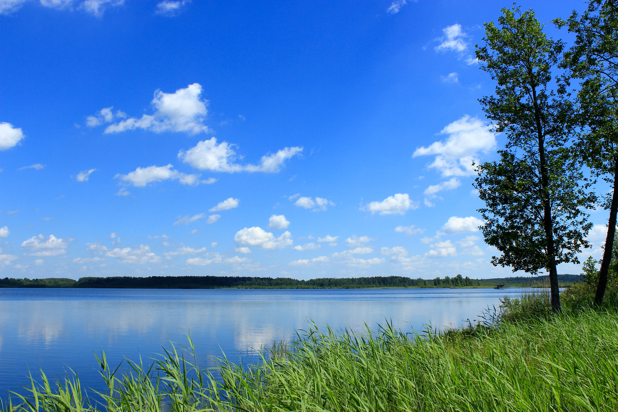 Canon EF-S 18-55mm F3.5-5.6 III sample photo. Beautiful summer photography