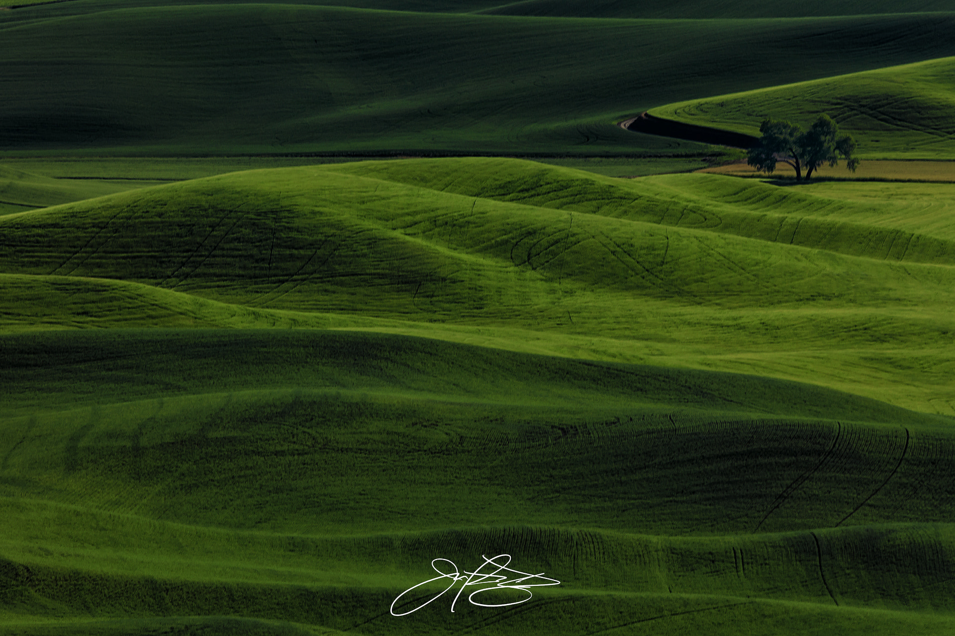 Canon EF 70-200mm F2.8L IS II USM sample photo. Planet krypton photography