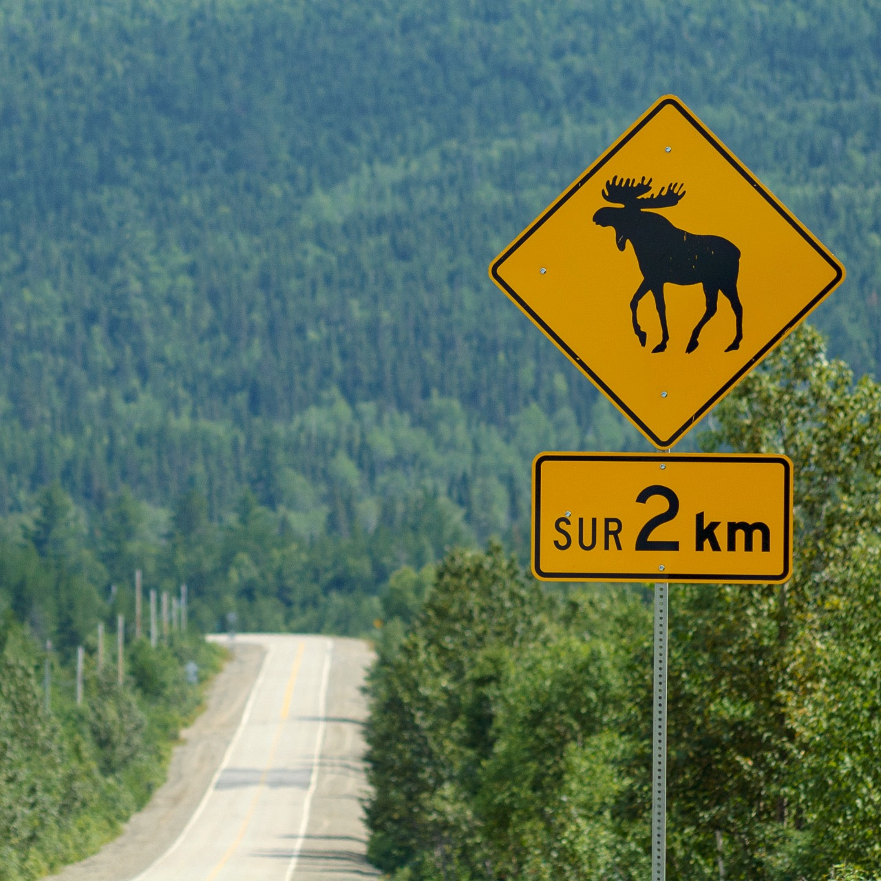 Nikon D70 + AF Nikkor 70-210mm f/4-5.6 sample photo. Road in québec photography