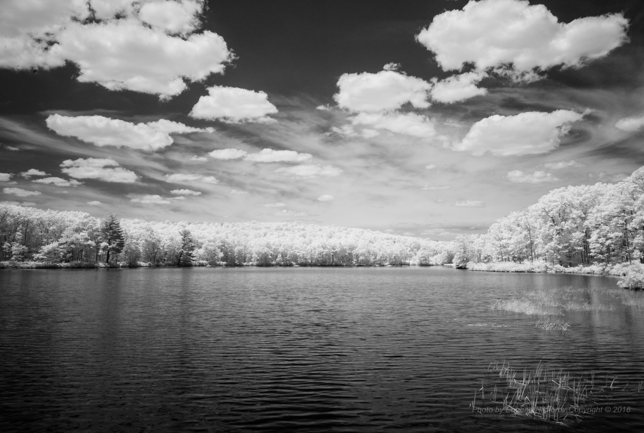 Leica M8 sample photo. Just a lazy afternoon on the lake photography