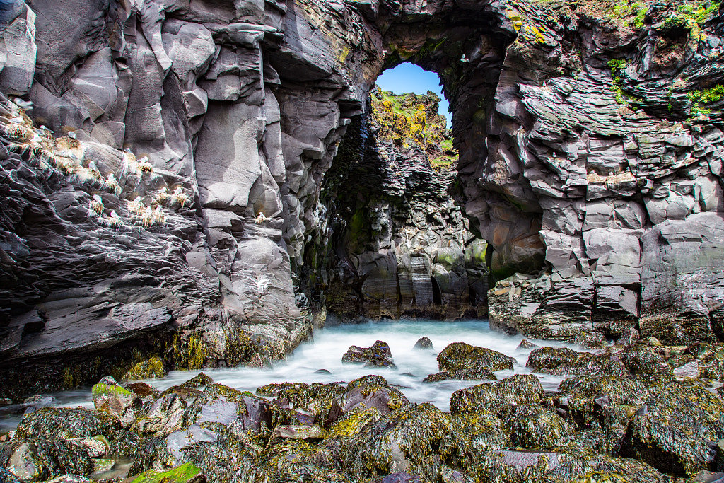 Bird "Cave" in Hellnar by Marc Salm on 500px.com