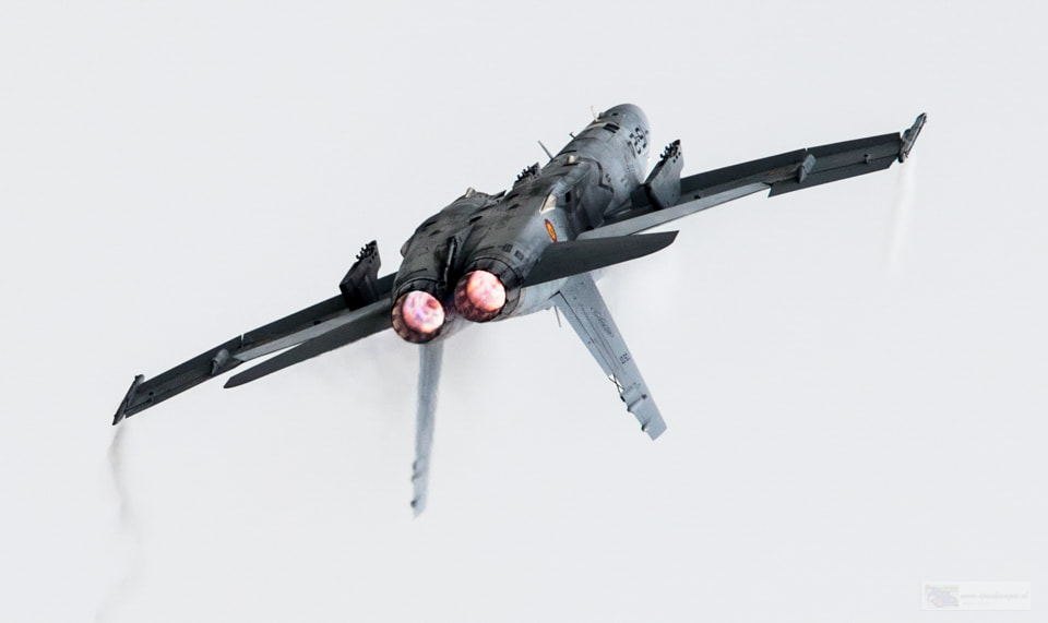 Canon EF 200mm F2.8L II USM sample photo. Hornet flames photography