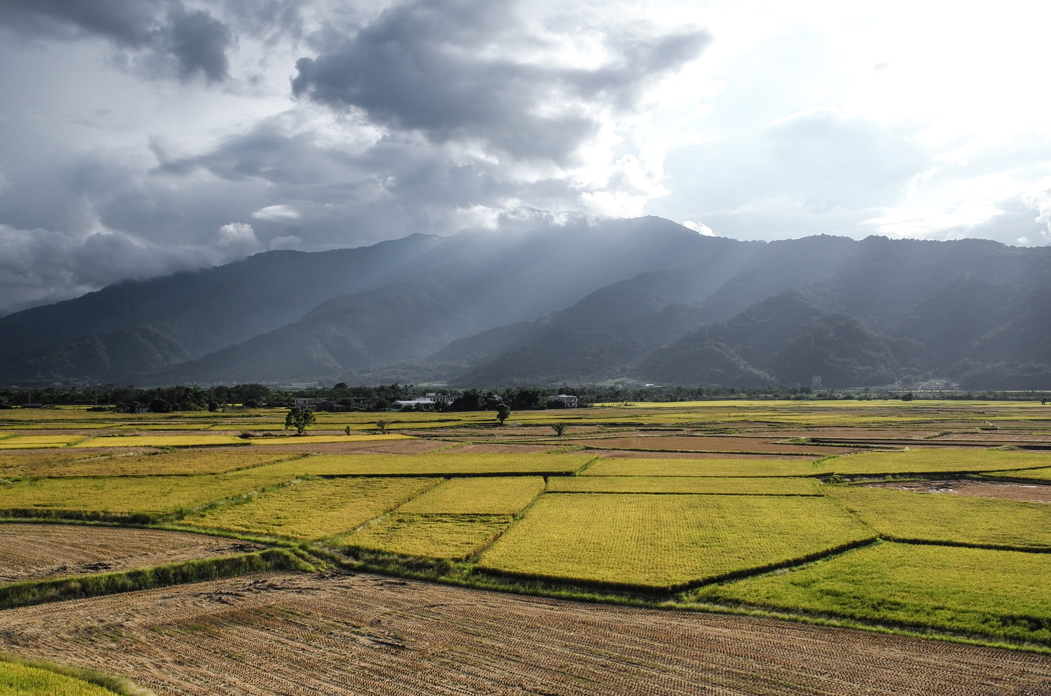 Summicron T 1:2 23 ASPH. sample photo. Harvesting season photography
